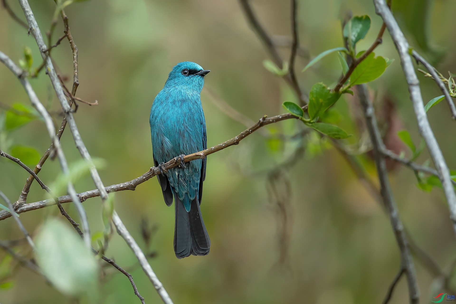 DSC_3804.jpg