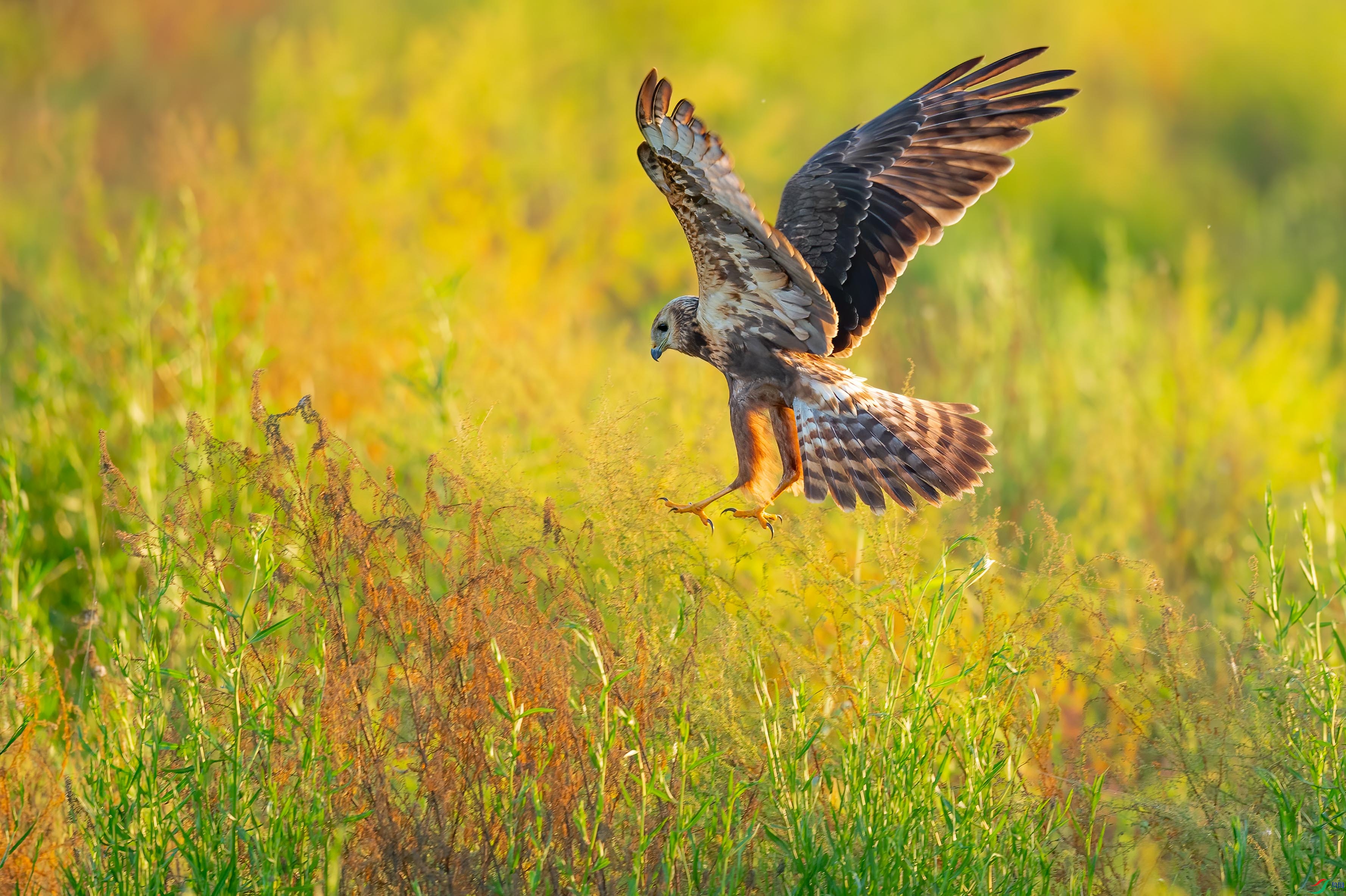 sen2016 8-28-13-�༭-3.jpg