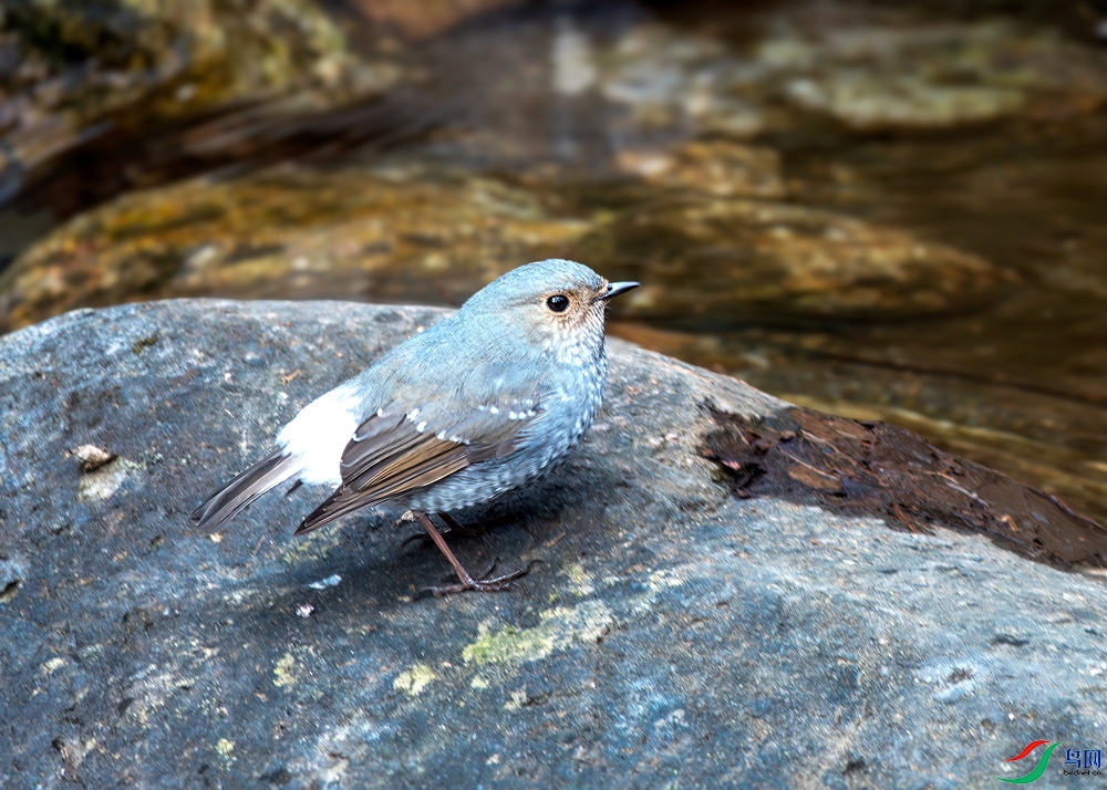 _DSC6363.jpg