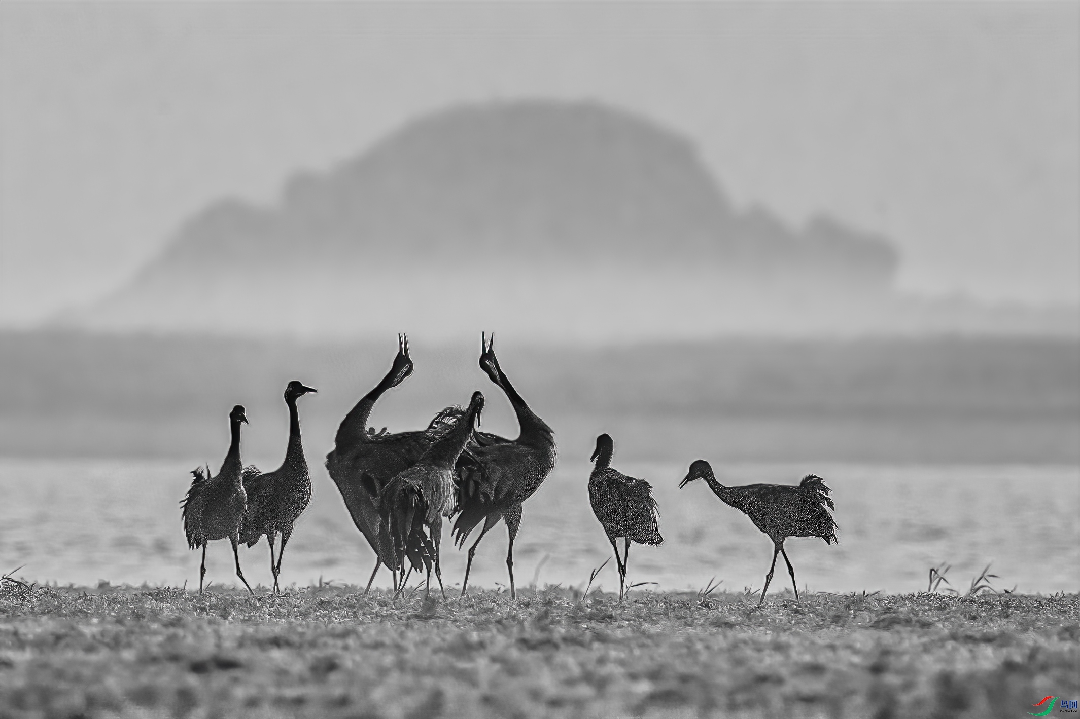 C09R0900 ����.jpg