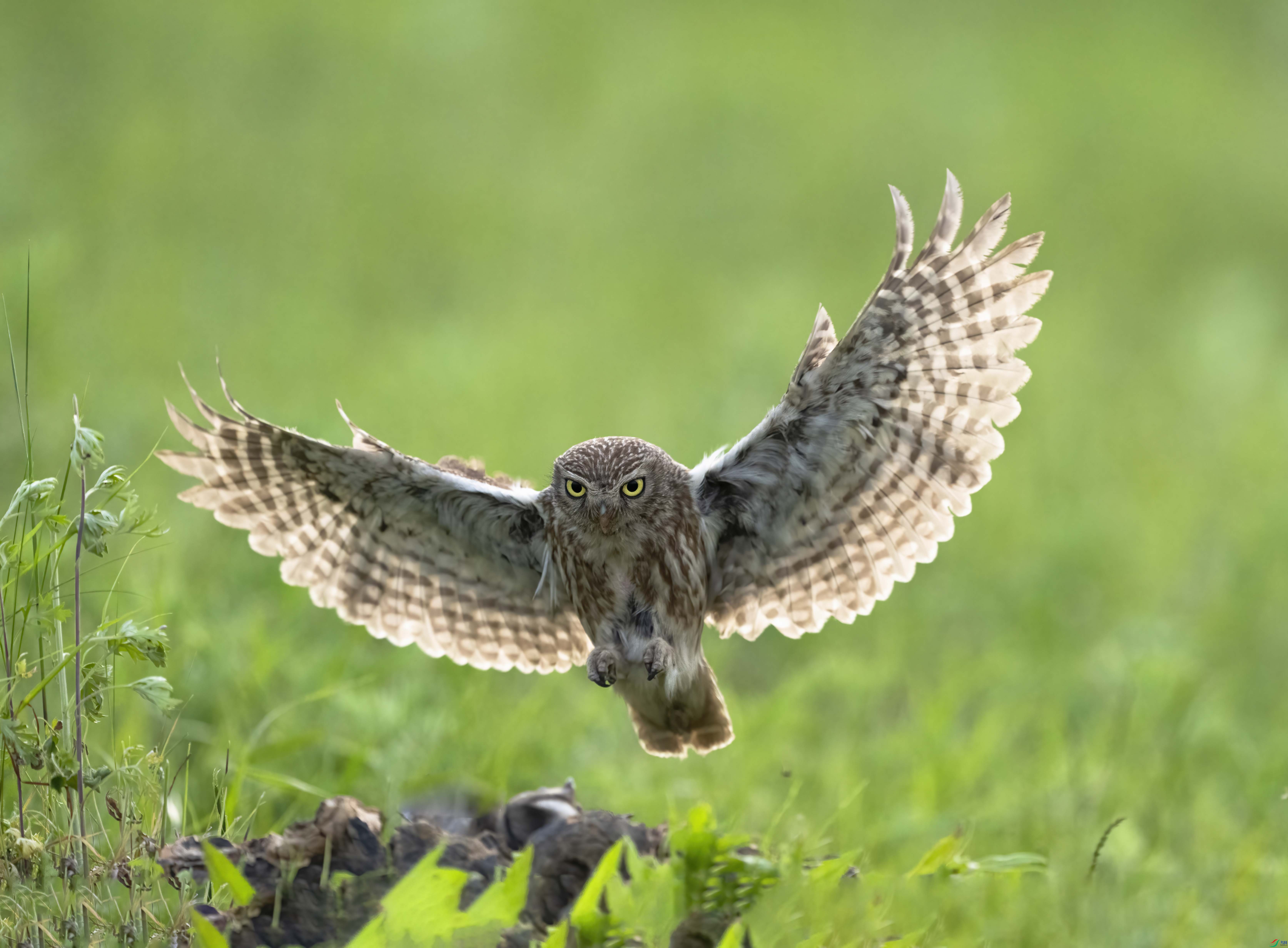 DSC07776 ����.jpg