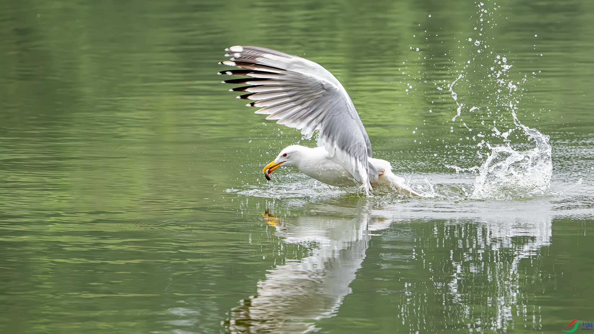 DSC_5170.jpg