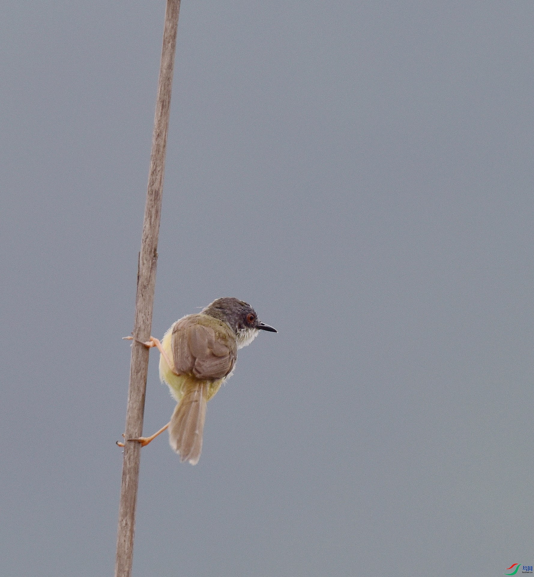 D8I_4853.jpg