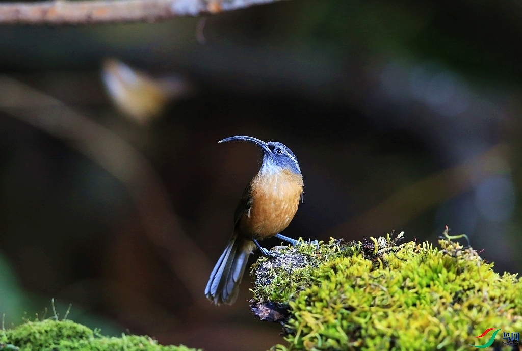 ���� IMGL2050.JPG