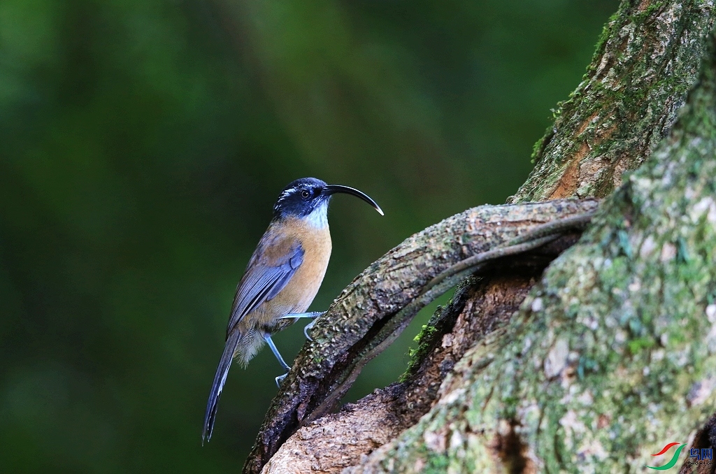 ���� IMGL2109.JPG