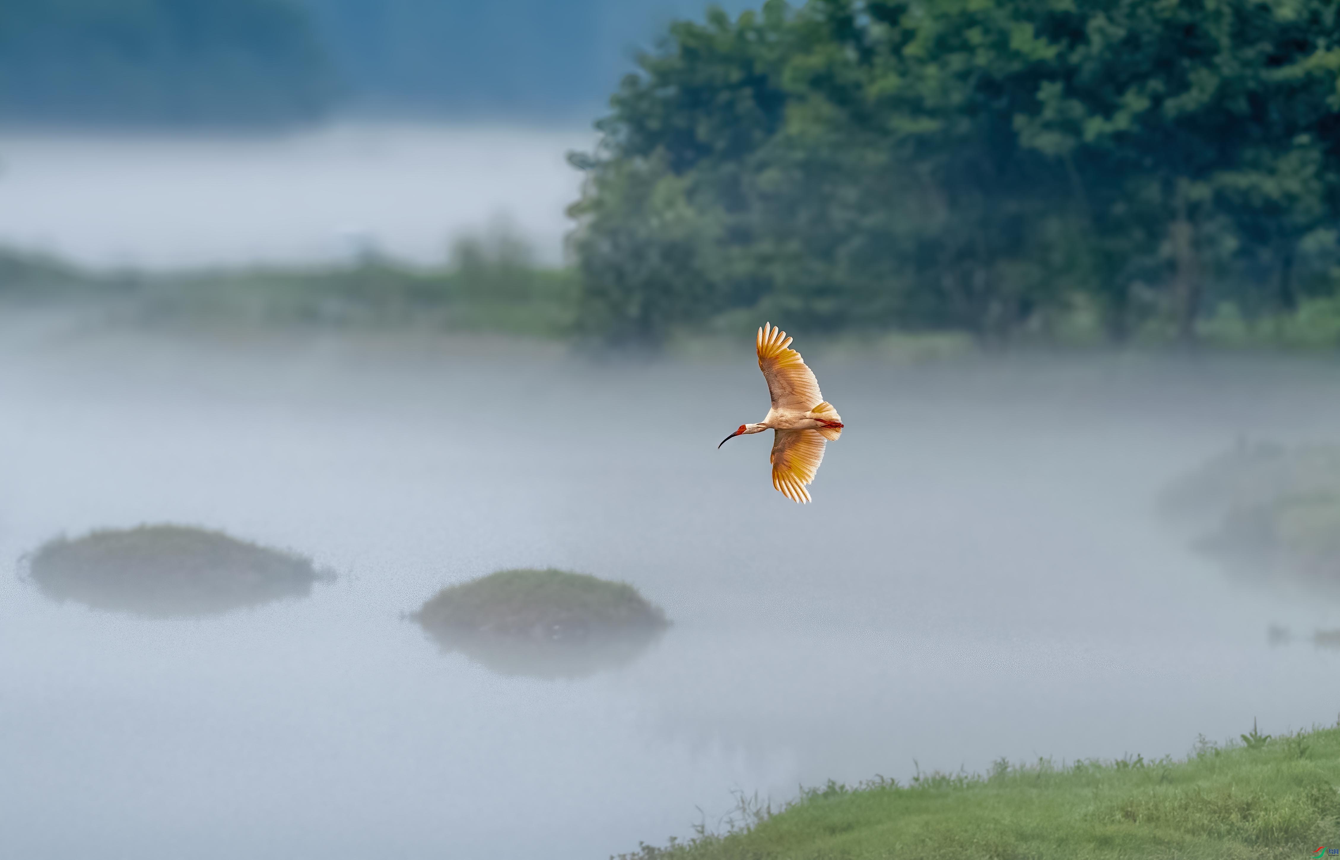 DSC_5263 ����.jpg