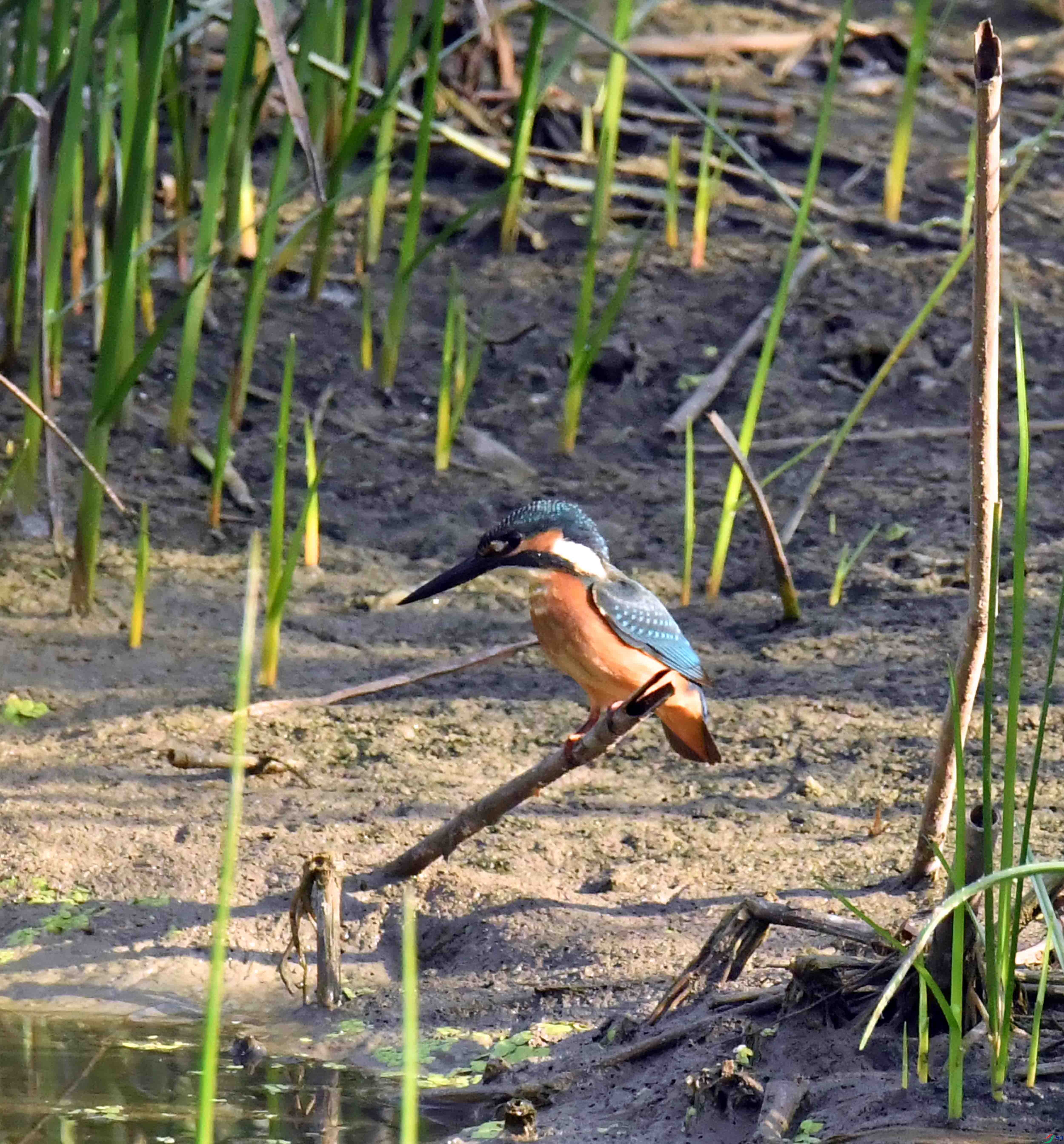 DSC_5189.JPG