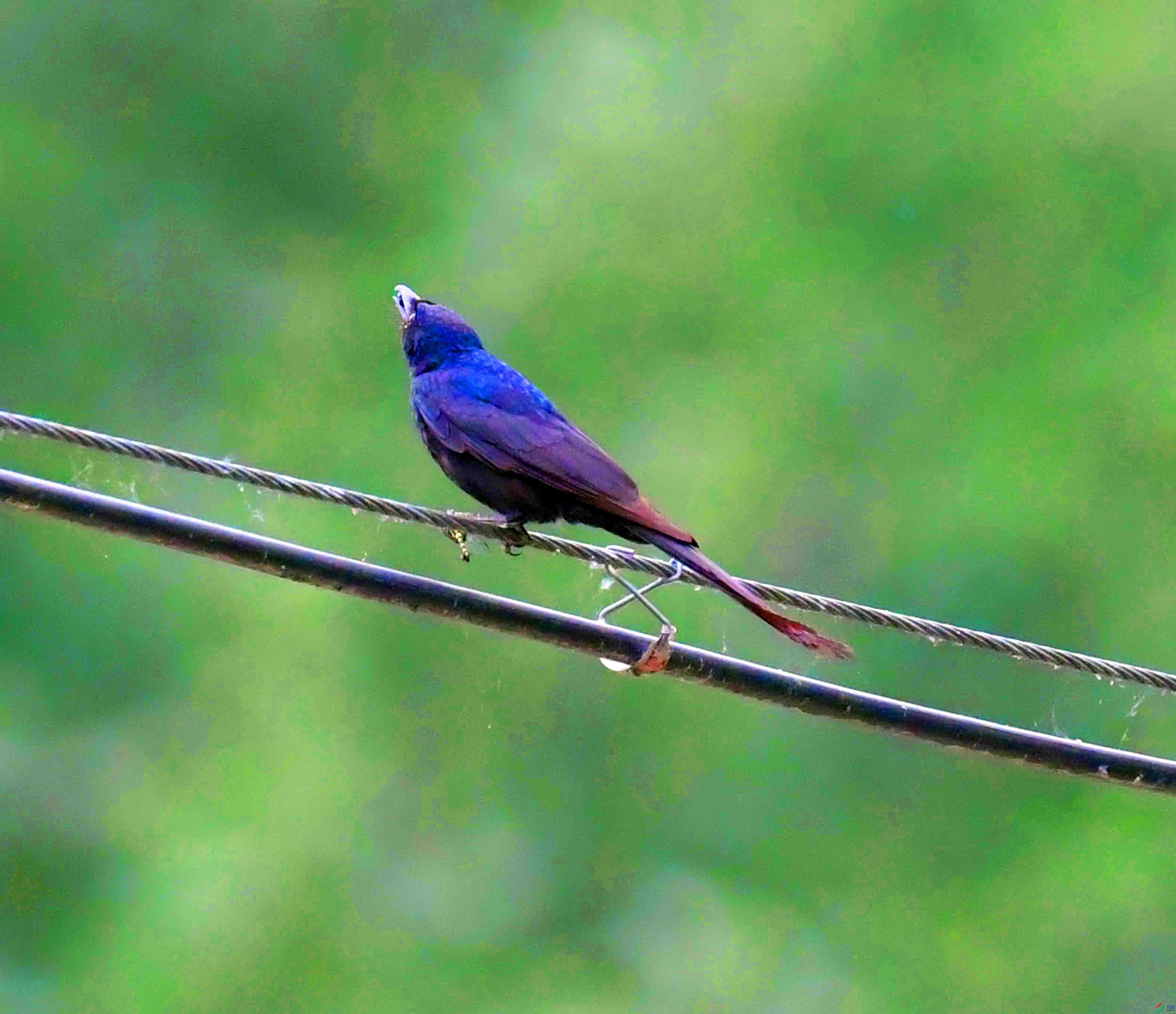 DSC_0887.JPG