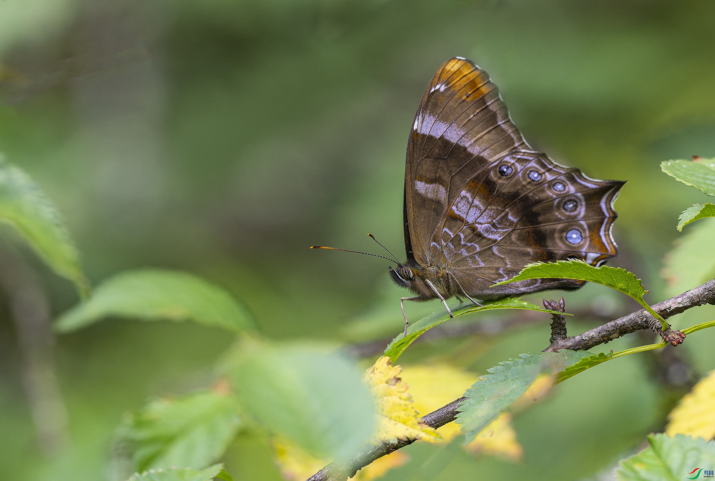 ���۵� (337)-1.jpg