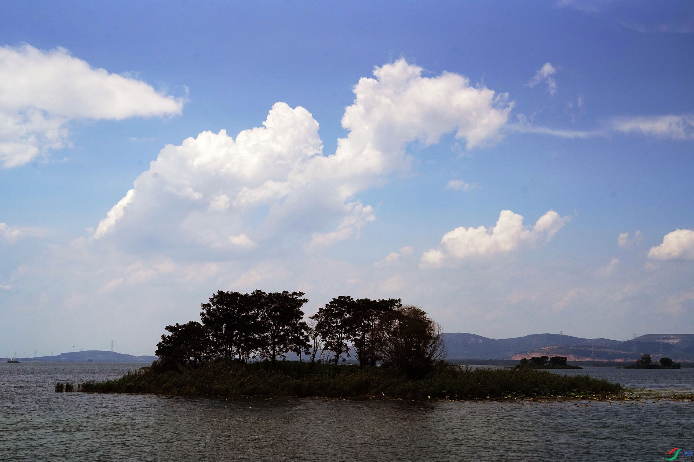 DSC05687.jpg