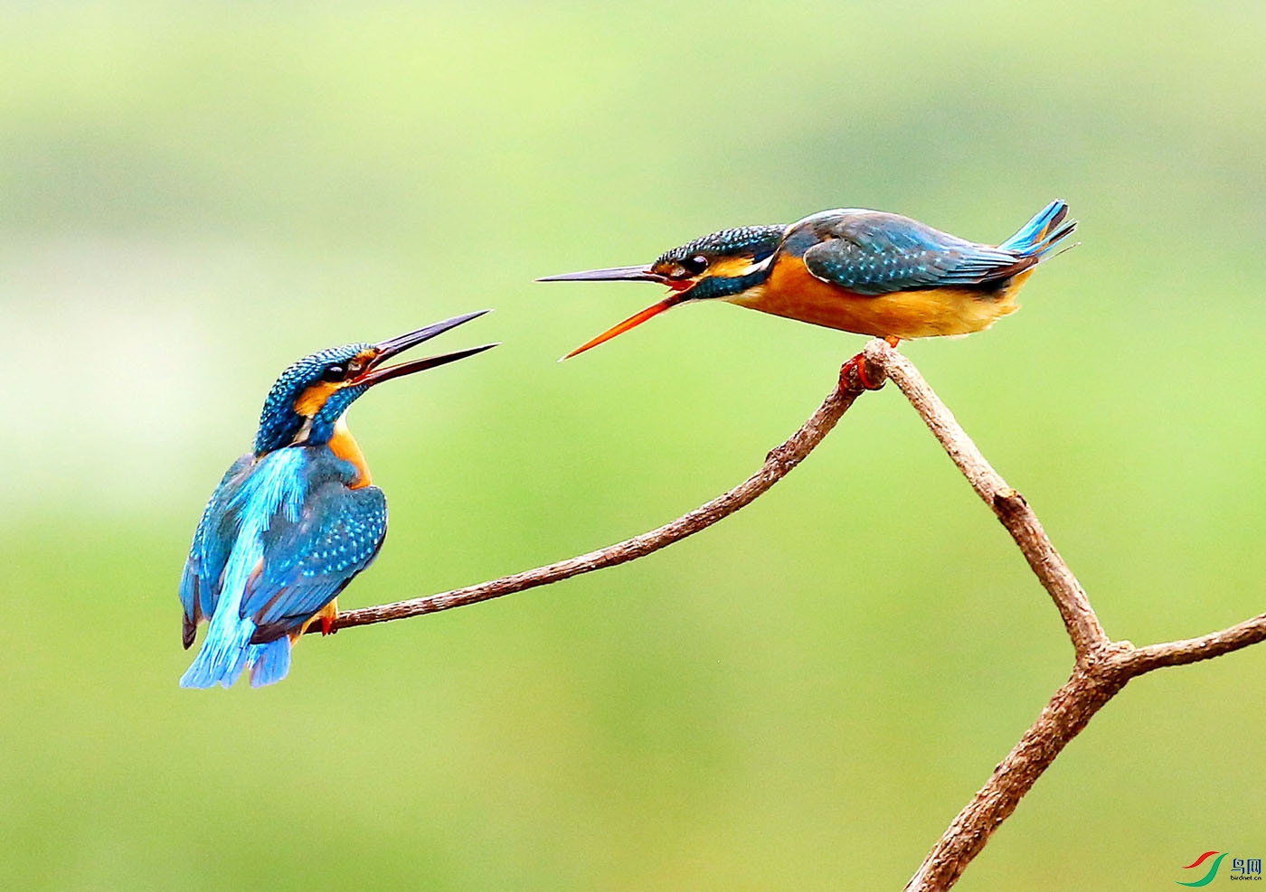 05-�� ��.jpg