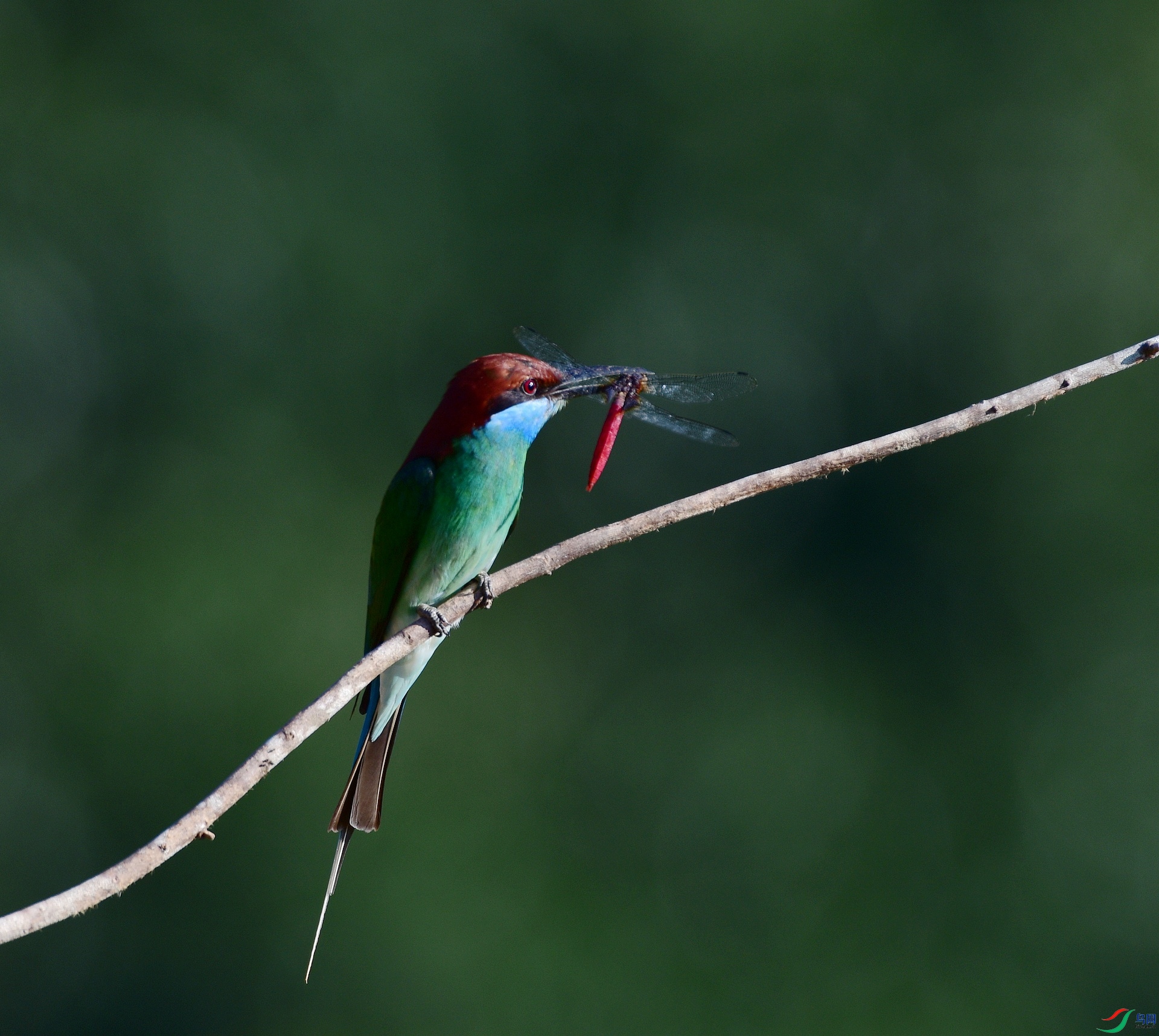 D8I_5883.jpg