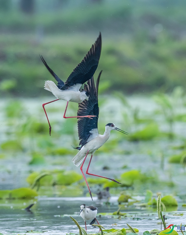 DSC_1660 ���� 2.jpg