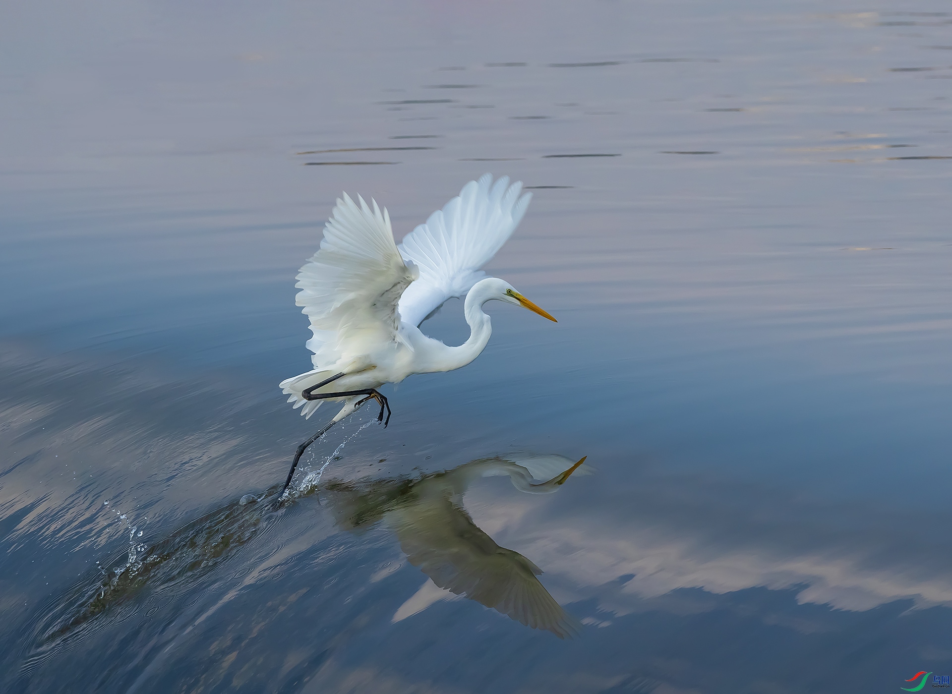 019A2344 ����.jpg