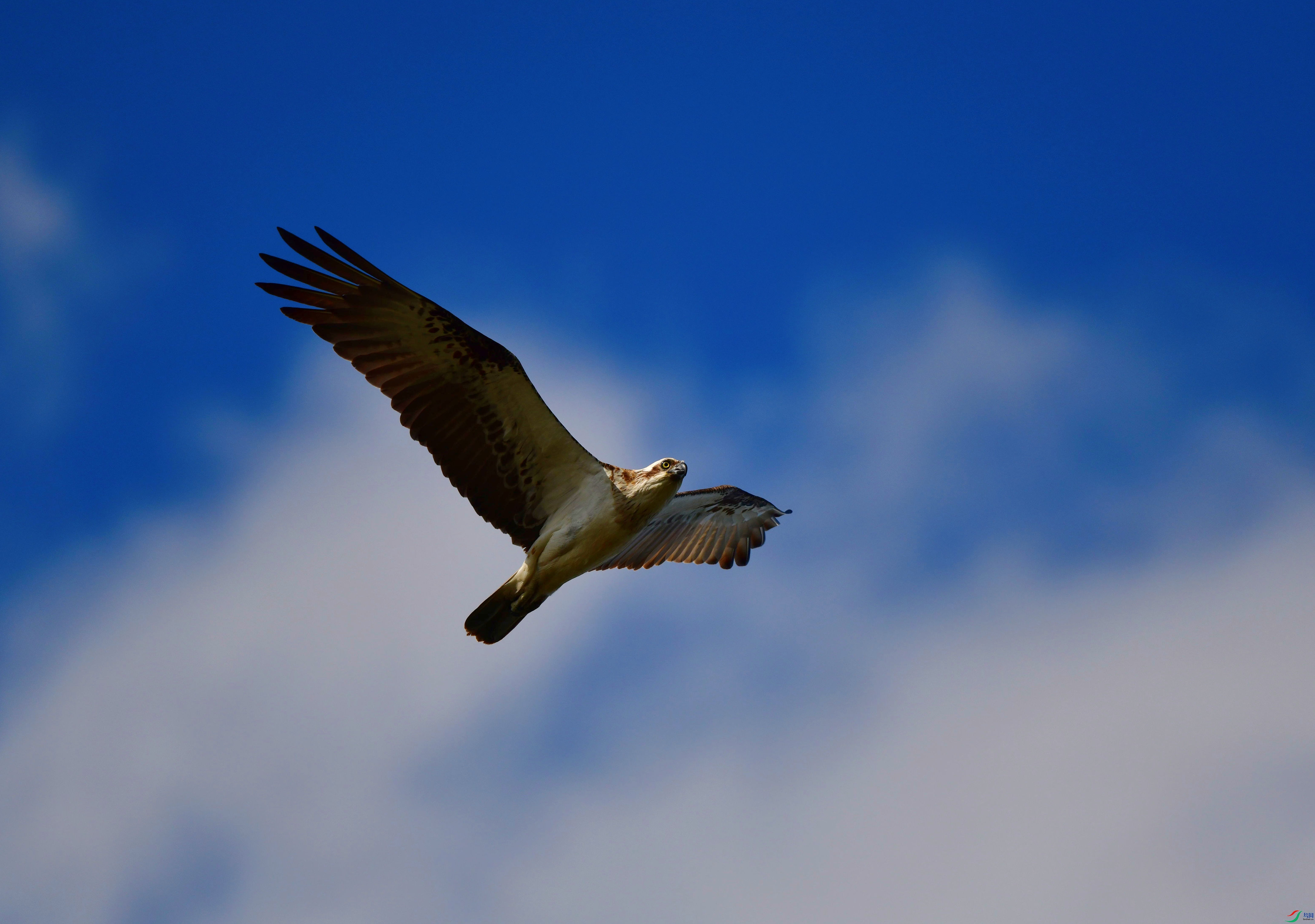 DSC_9738_��ͼ��_����.jpg
