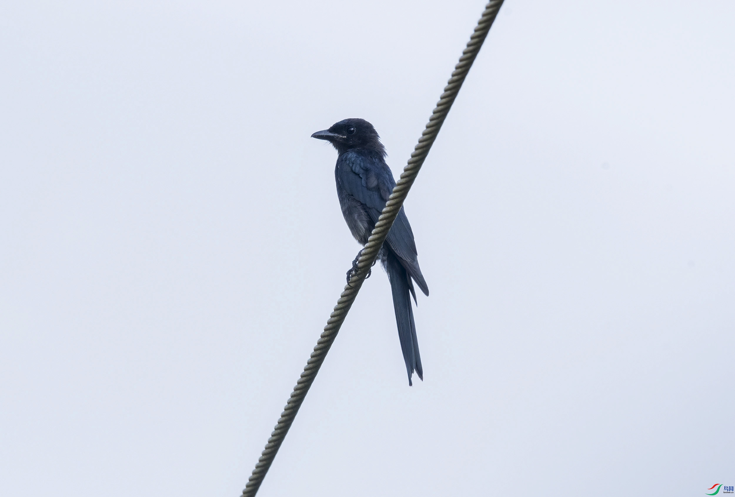 DSC_5208.jpg