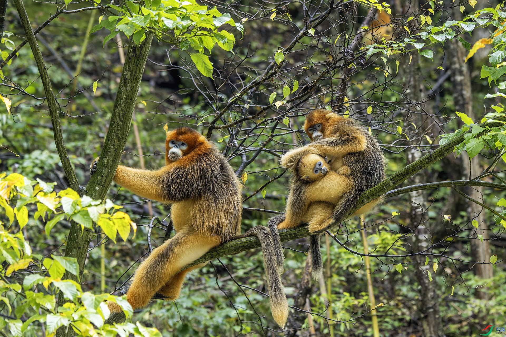 _DSC1835-NEF_DxO_DeepPRIME ����.jpg