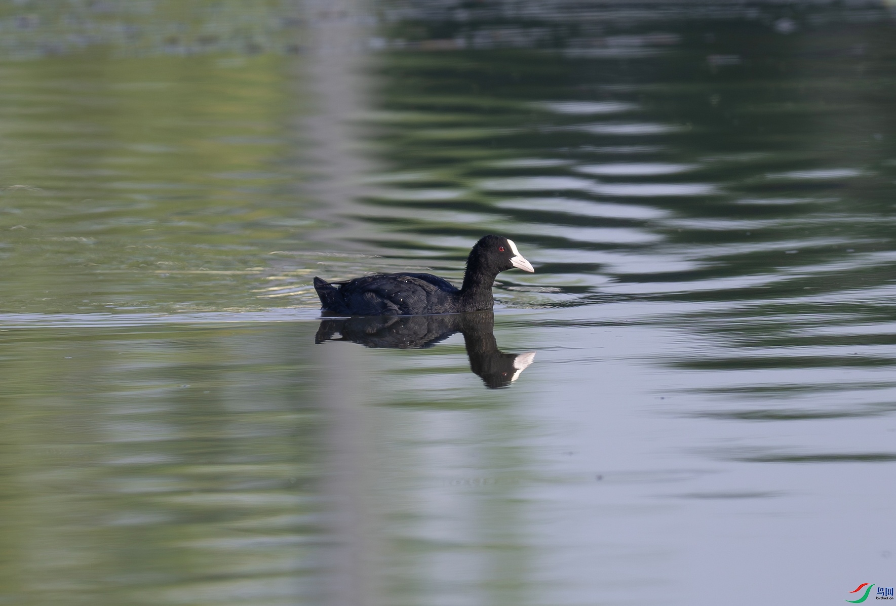 _DSC6104f.jpg