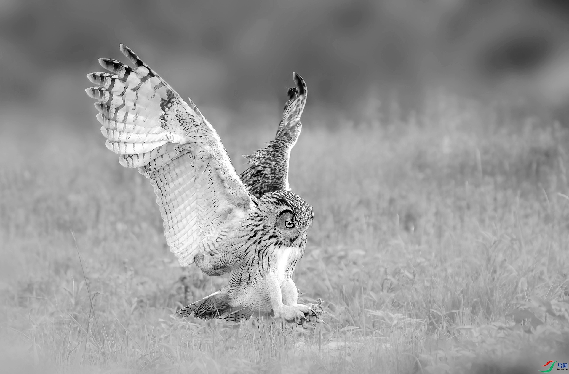 DSC01391 ����._����.jpg