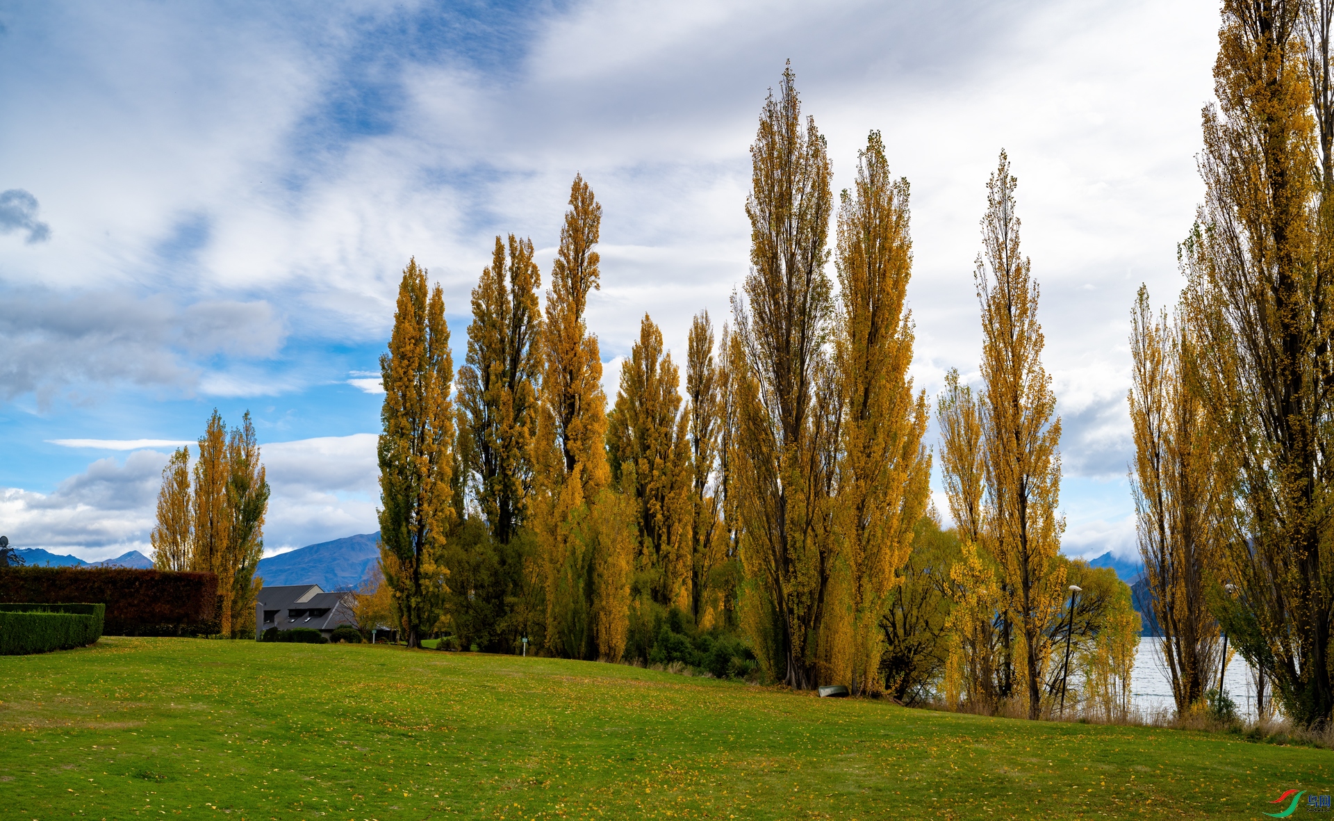 DSC_7825-1.jpg