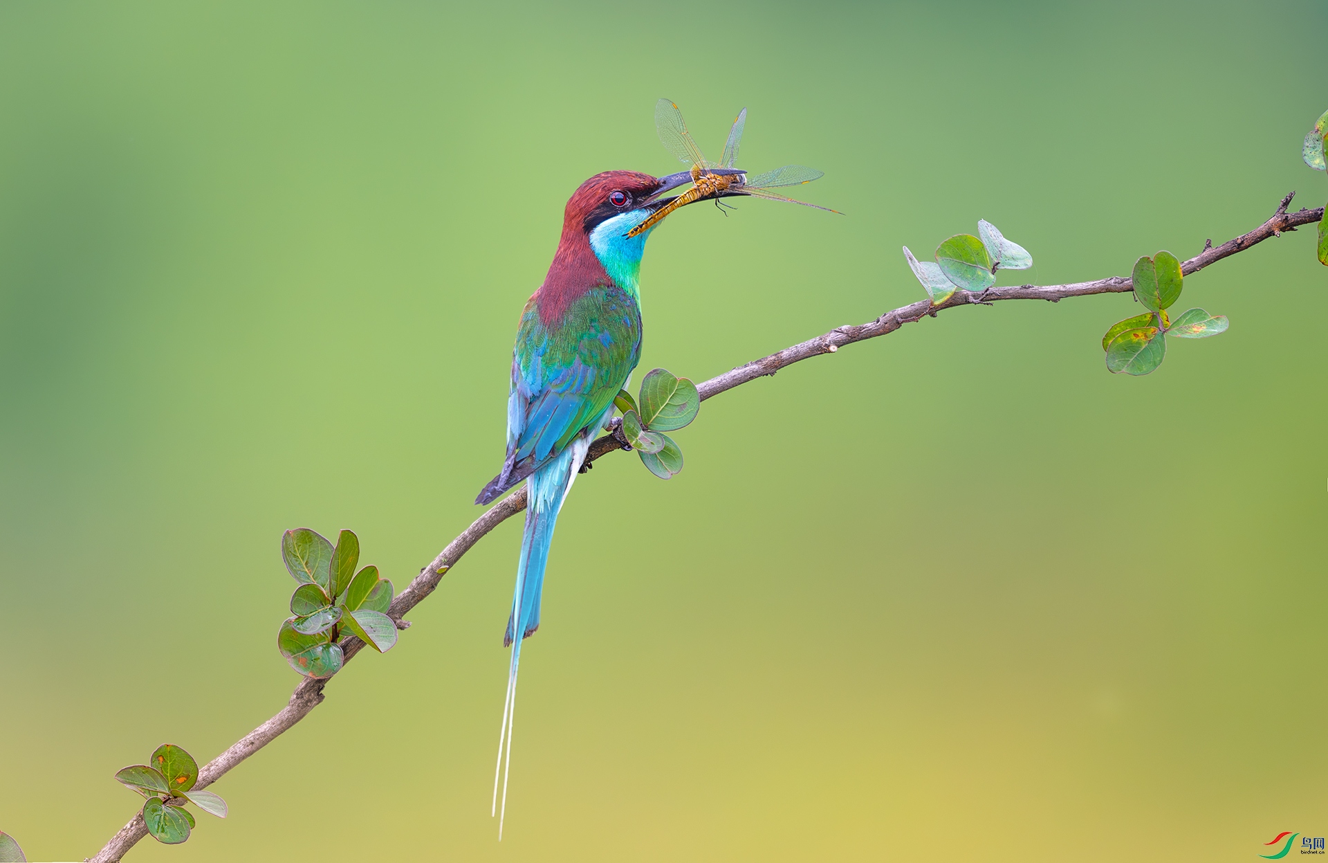 ����DSC_2359.jpg
