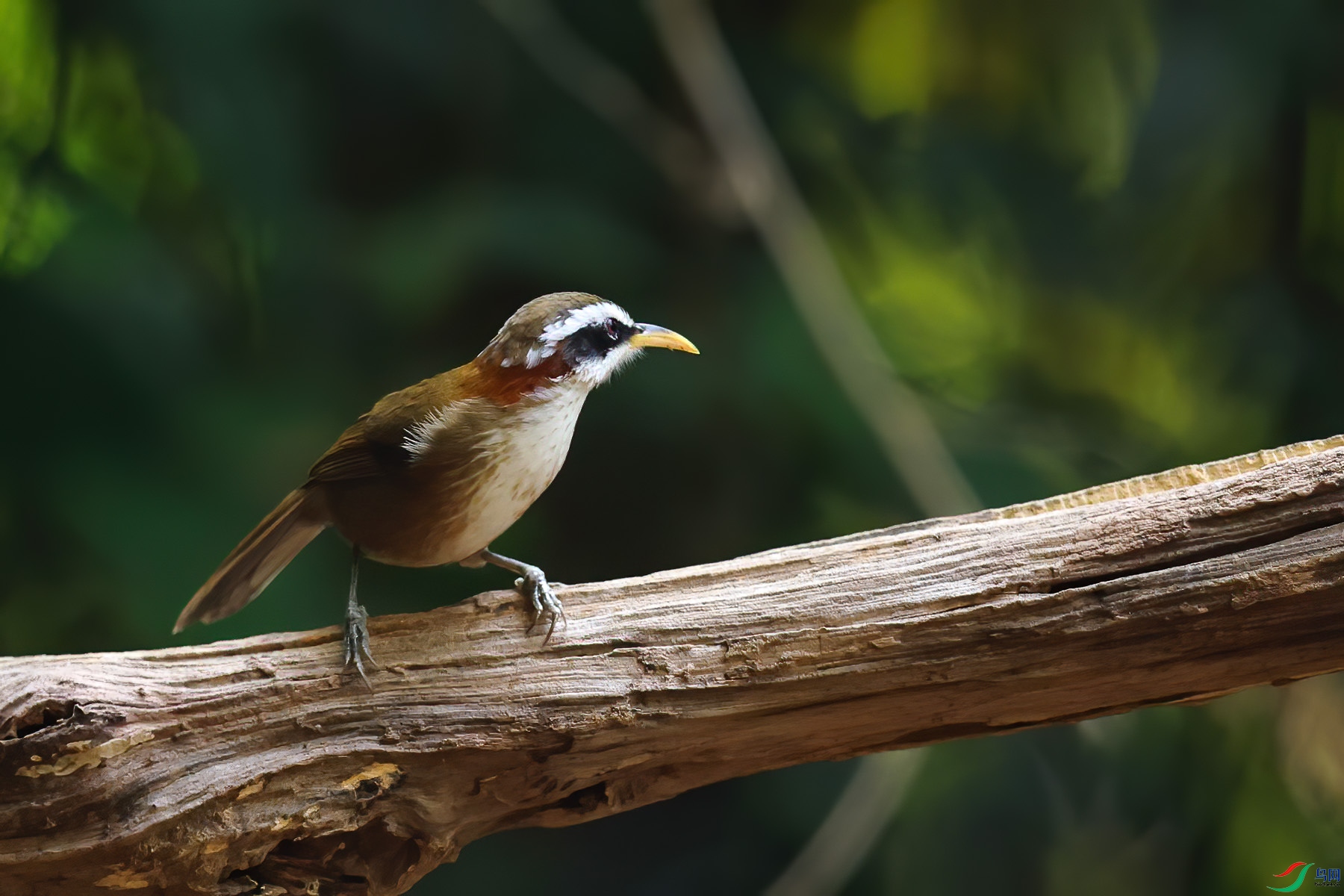 �ؾ�������