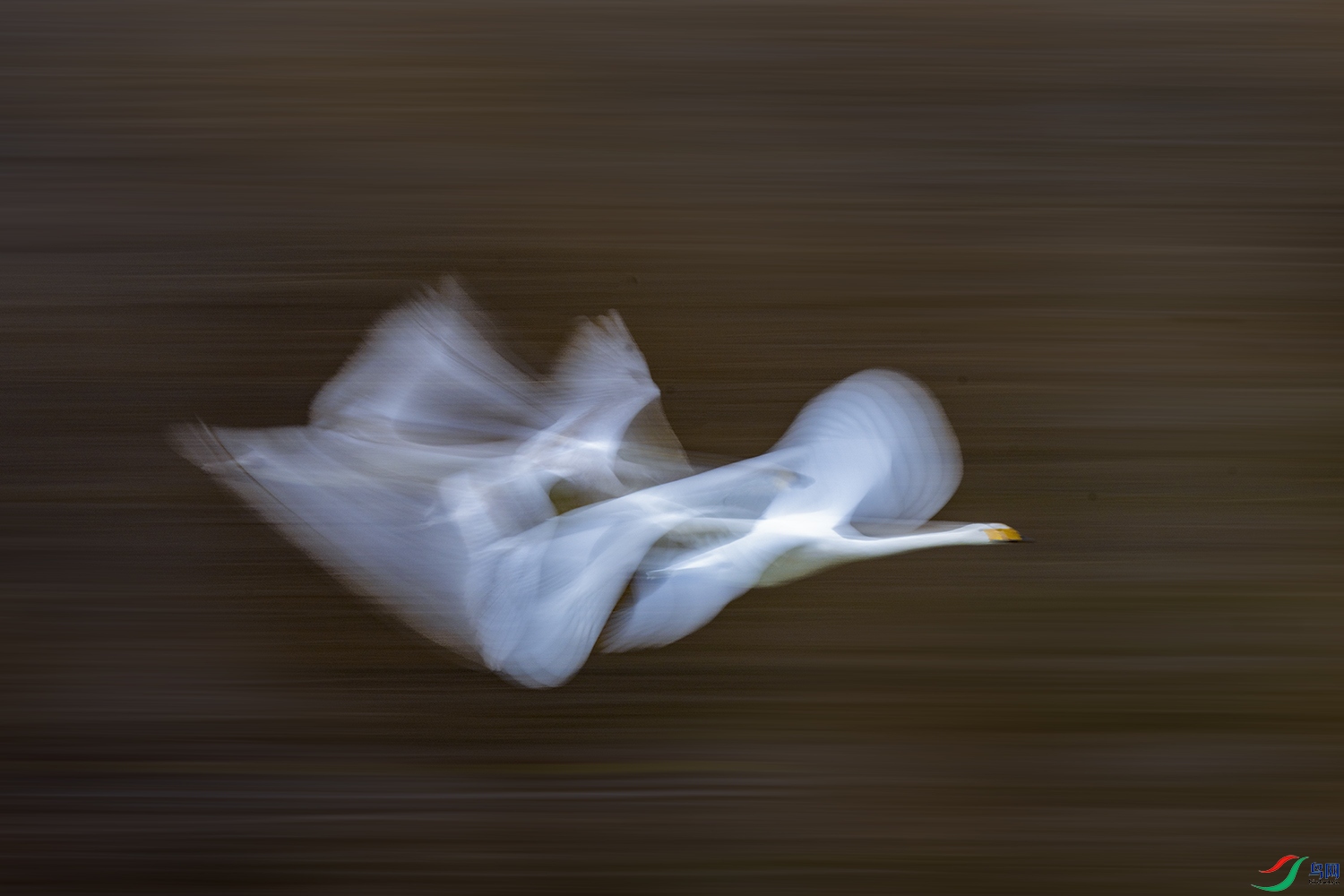 DSC_2088.jpg