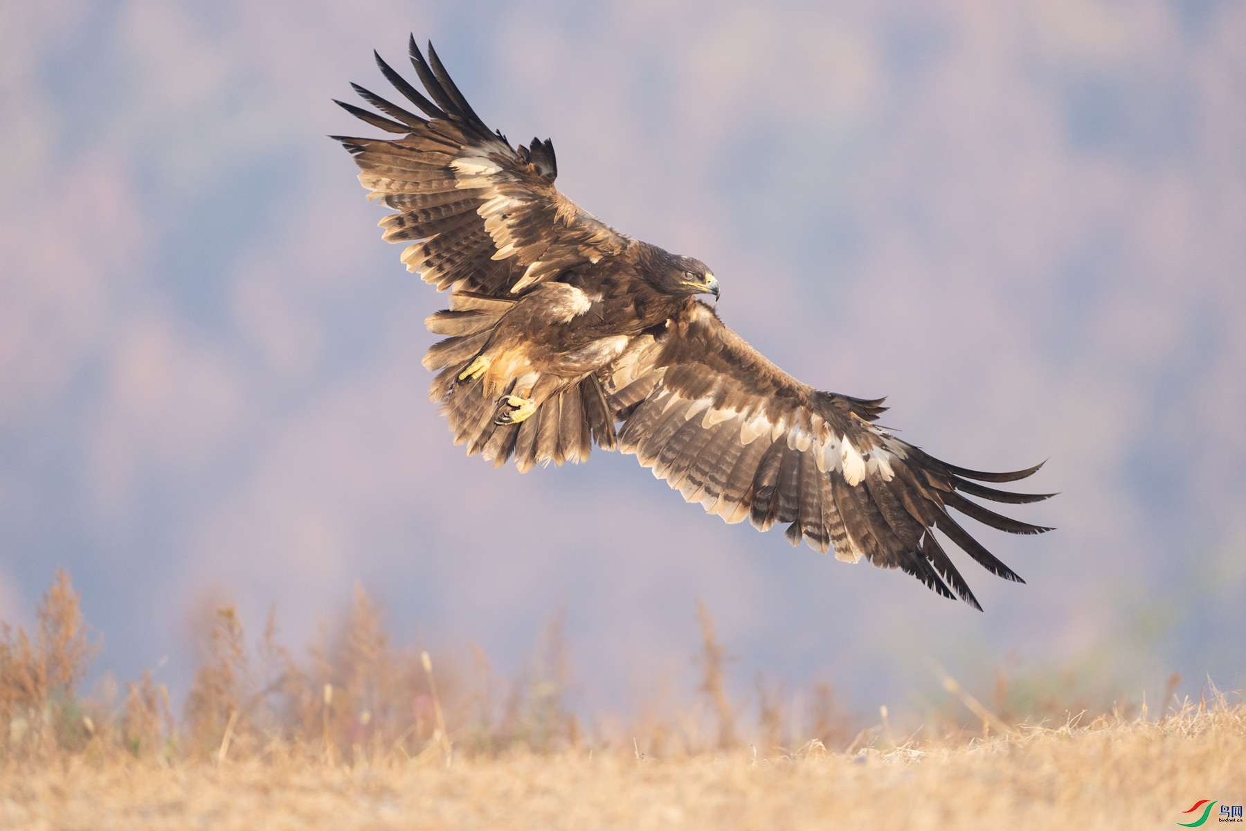 DSC02572 ����_����.jpg