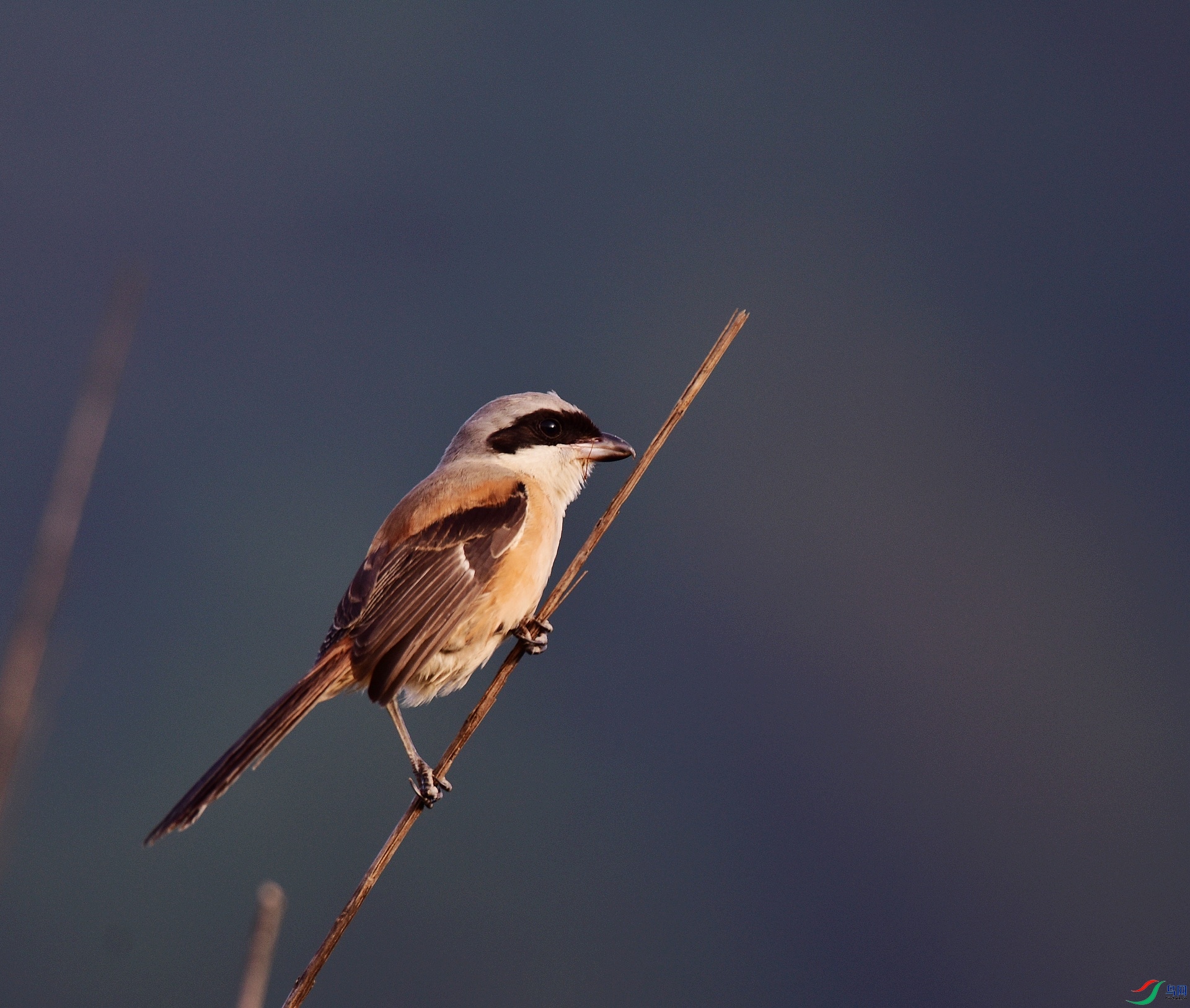 D8I_0676.jpg