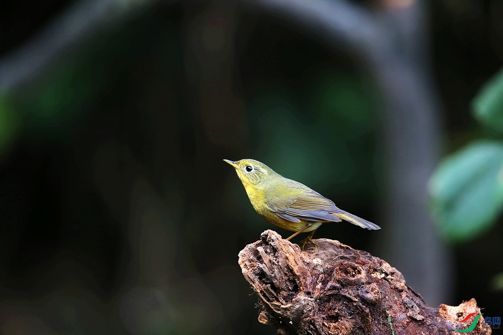 ���� IMGL8181.JPG