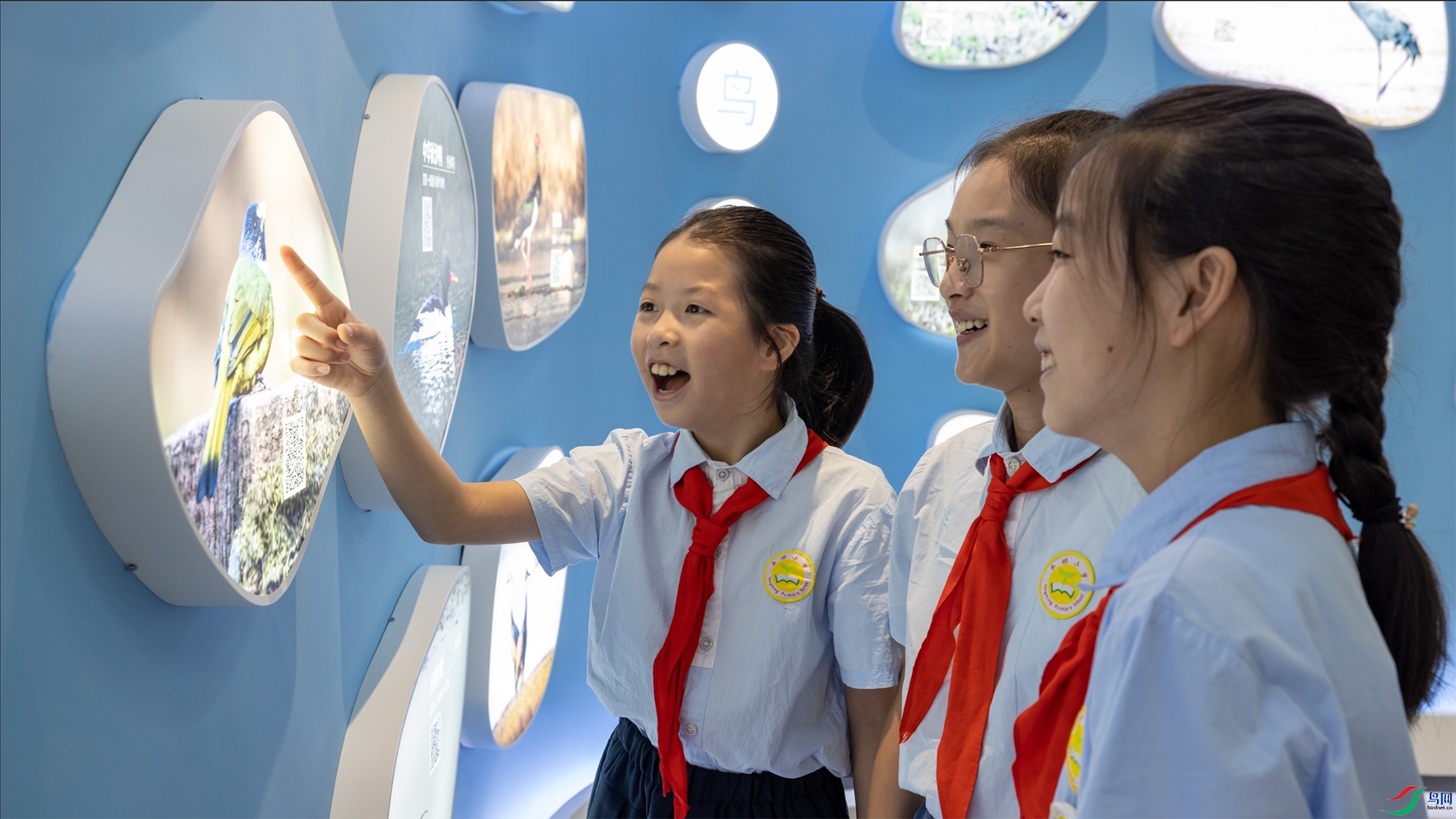 ����ʡ������Ұ�����ౣ��־Ը��Э����֯����ʪ��֮��������Ӫʵ���