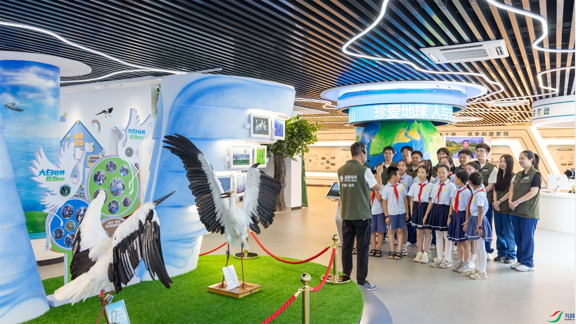 ����ʡ������Ұ�����ౣ��־Ը��Э����֯����ʪ��֮��������Ӫʵ���