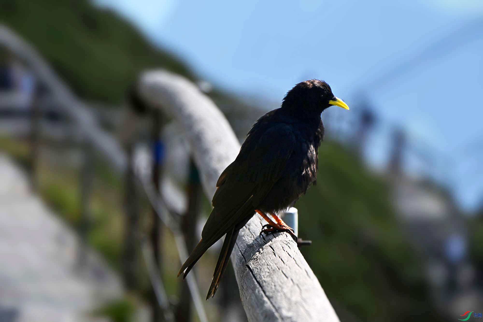 DSC_6509_.jpg