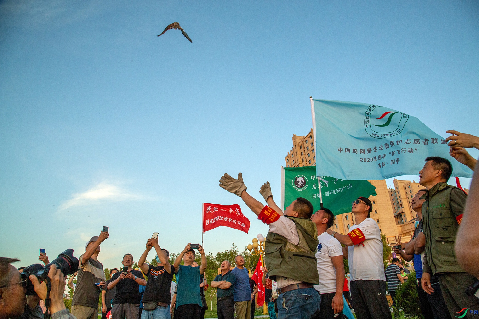 ����Ұ��־Ը�ߺ��ֳ����ڿ����ɹ��ŷ����һֻ����ȫ���������Ȼ���ֳ�һƬ������