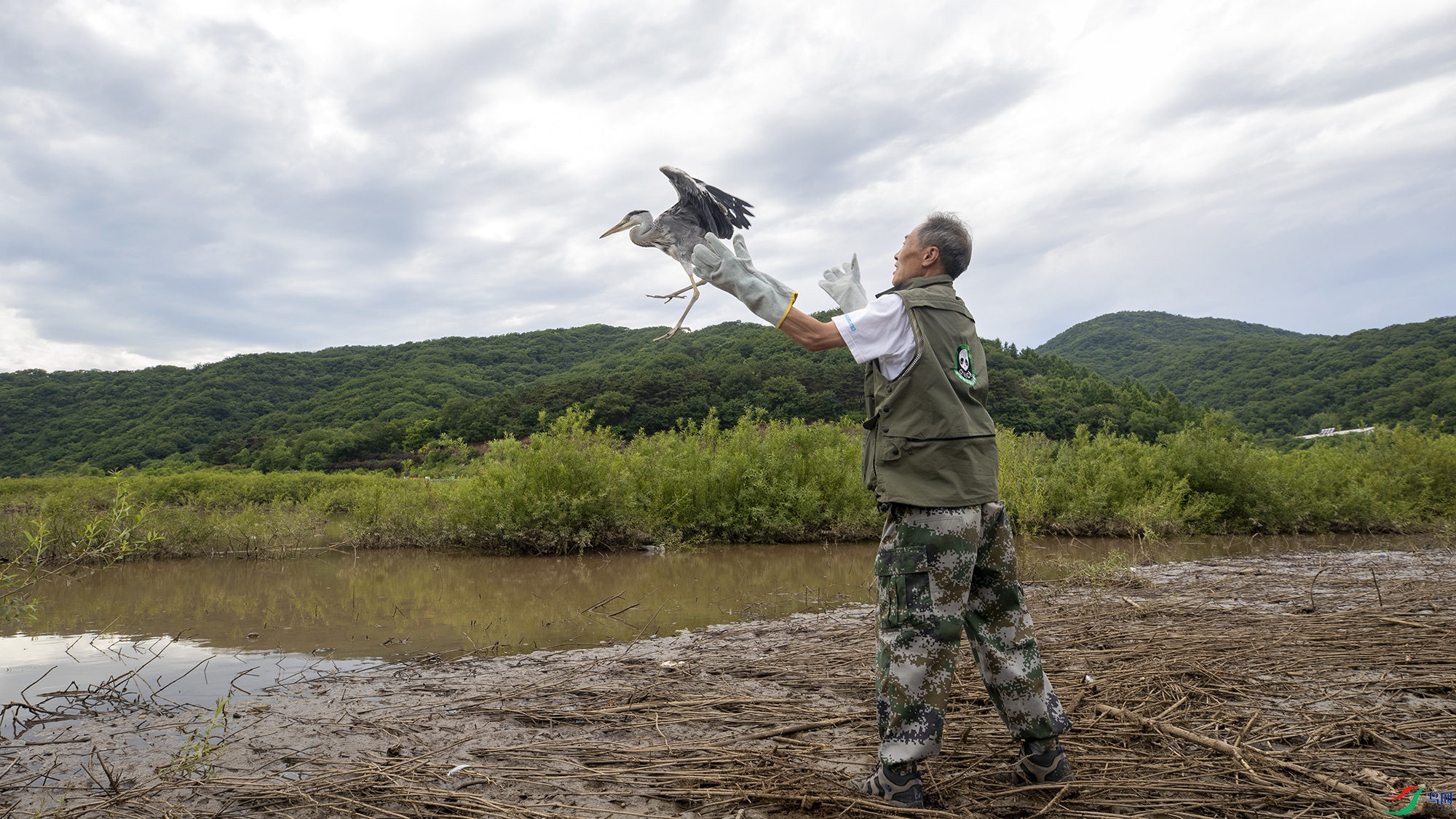 Ұ��־Ը���ڷŷɾ����Ĳ���