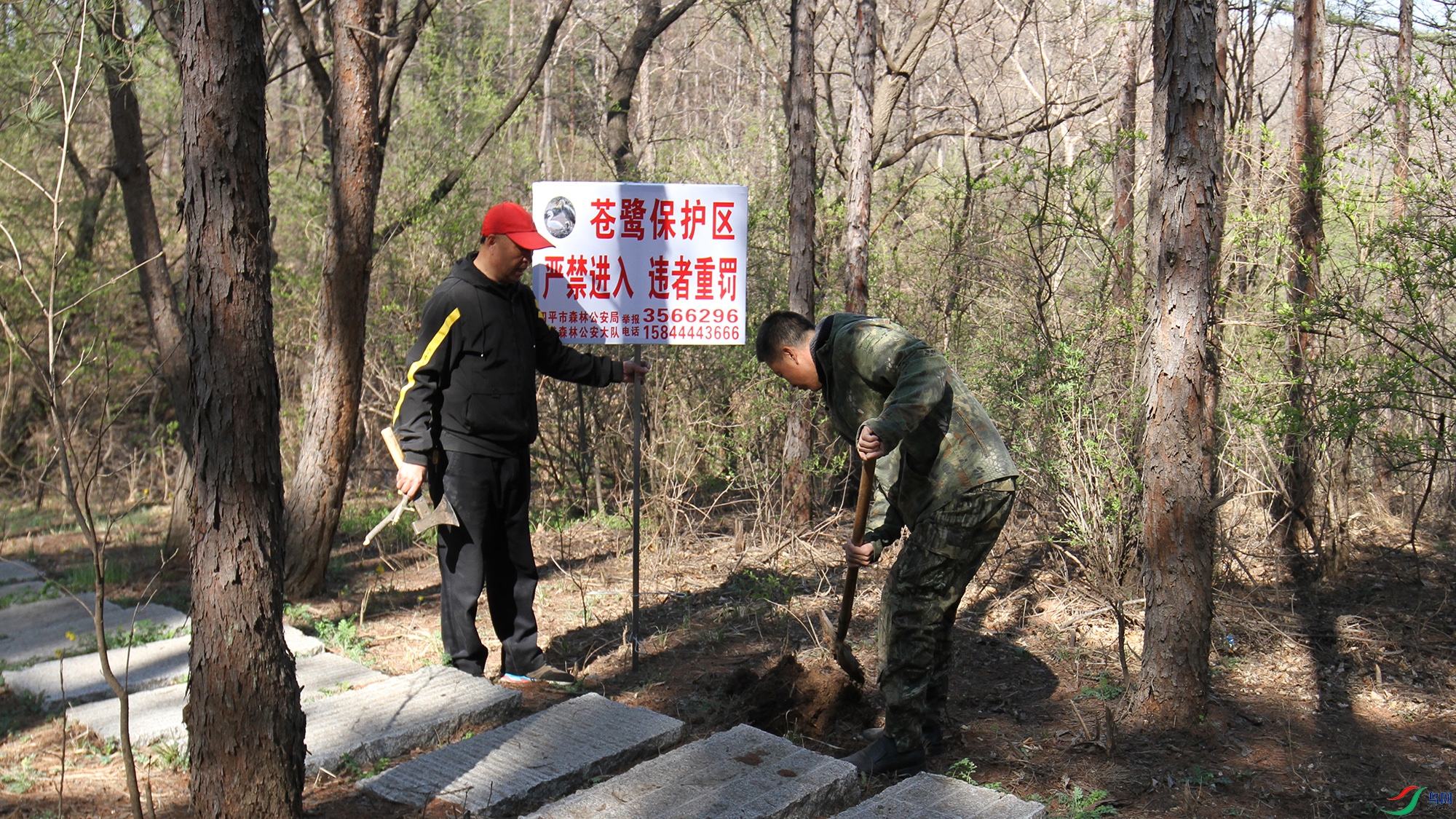 ��ʯ�ɽ��Ұ��־Ը��Ϊ���ط�ֳ��������ʾ��