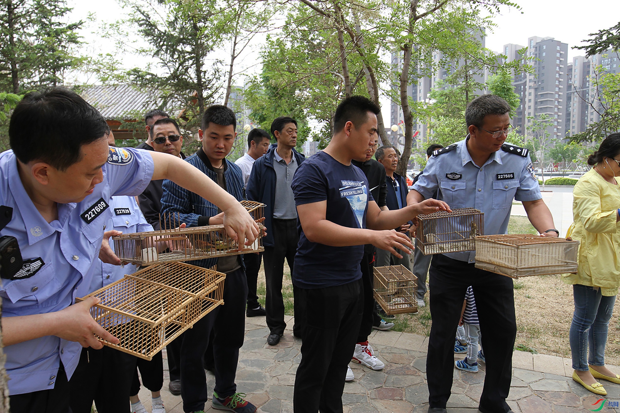 Ұ��־Ը�ߺ�ִ�������սɵ�Ұ�����౻�ŷɡ�