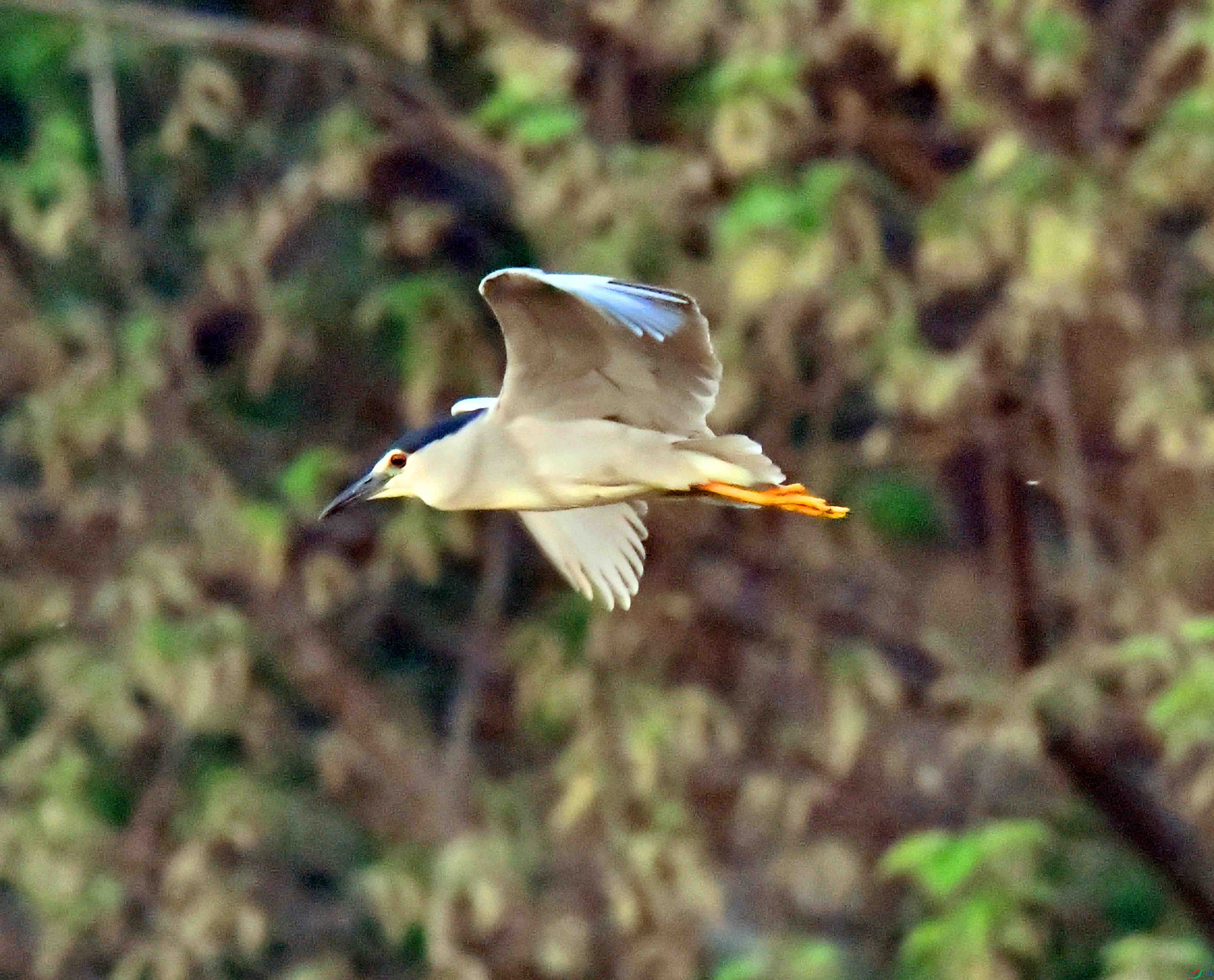DSC_5532.JPG