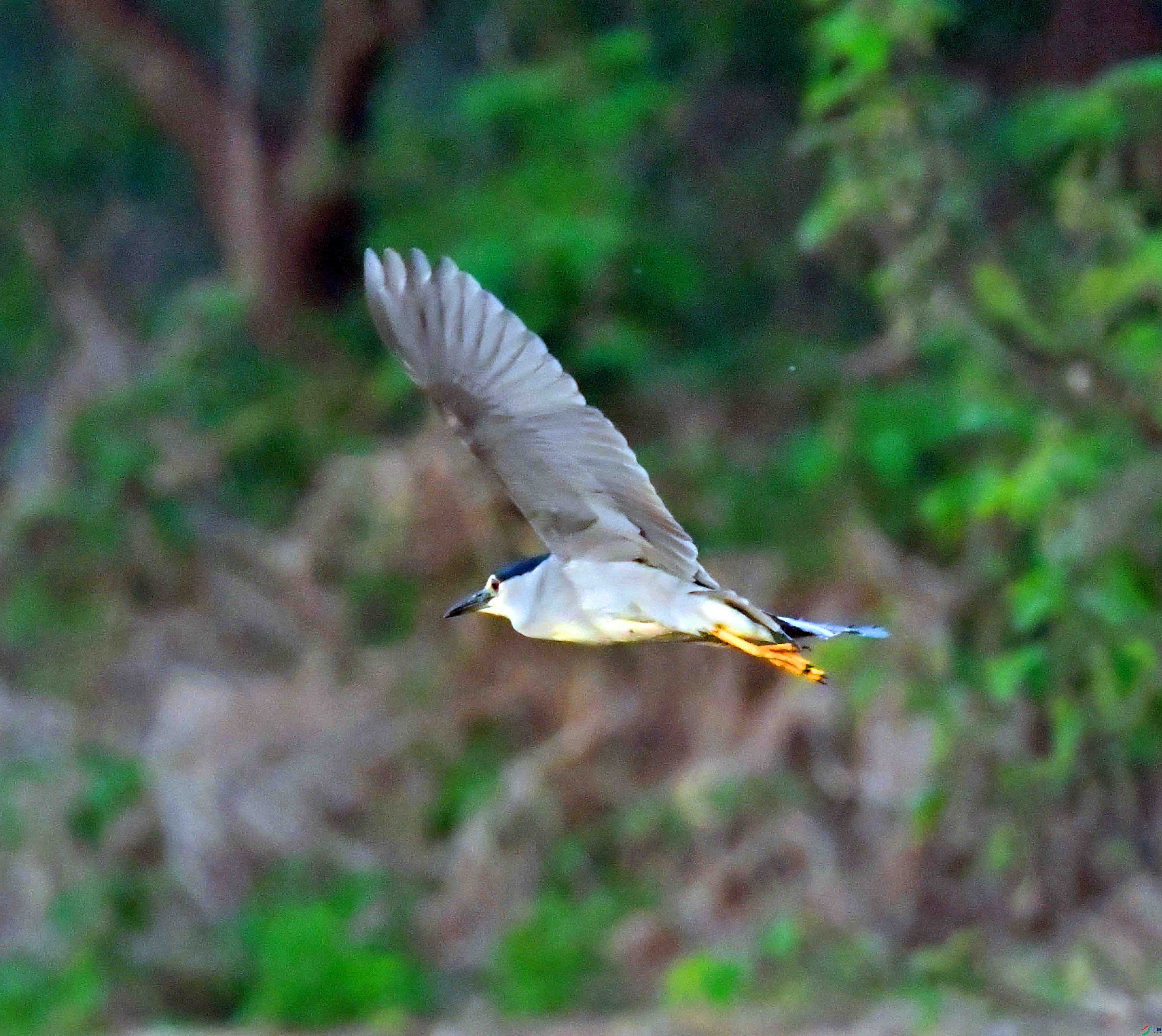 DSC_5533.JPG