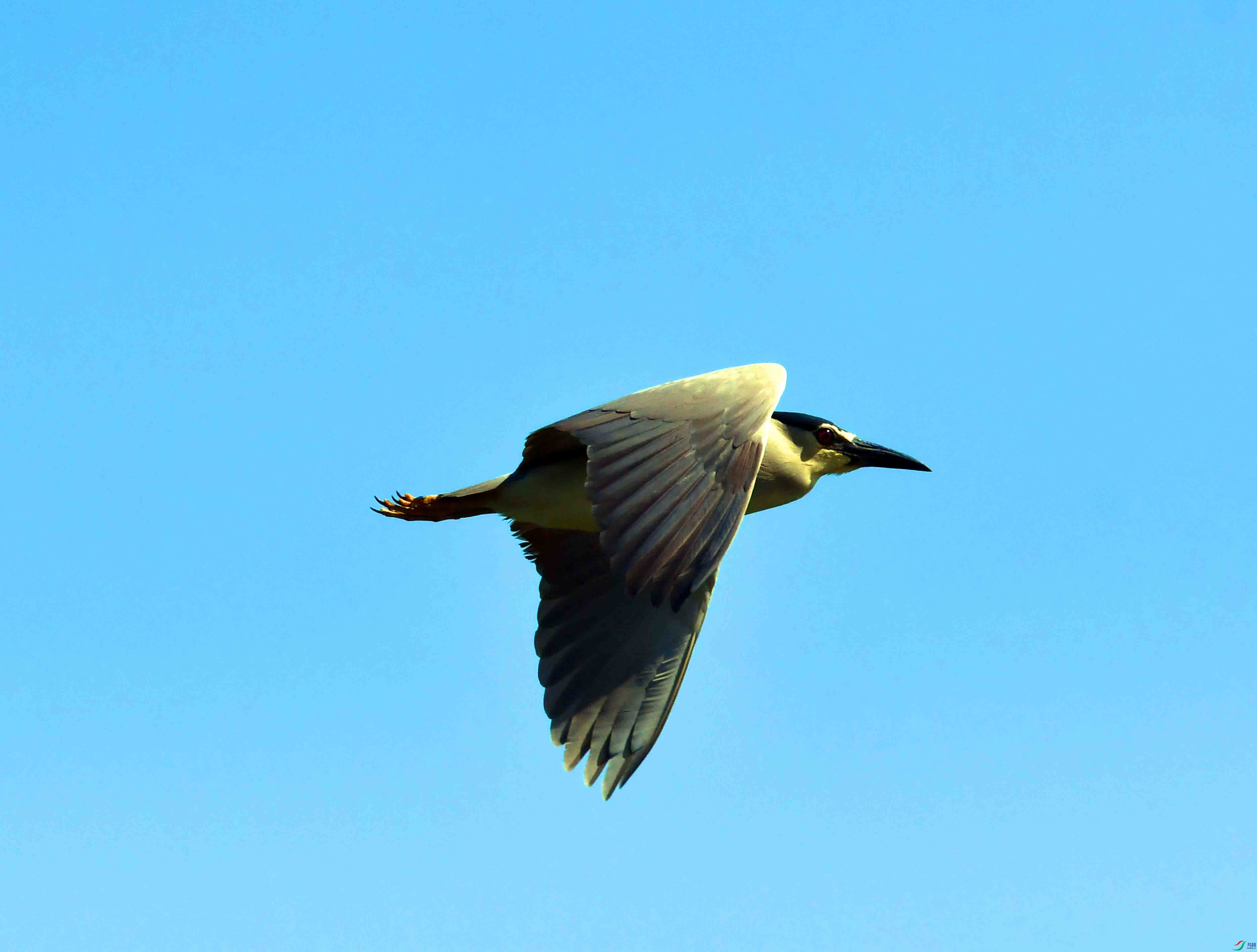 DSC_6406.JPG