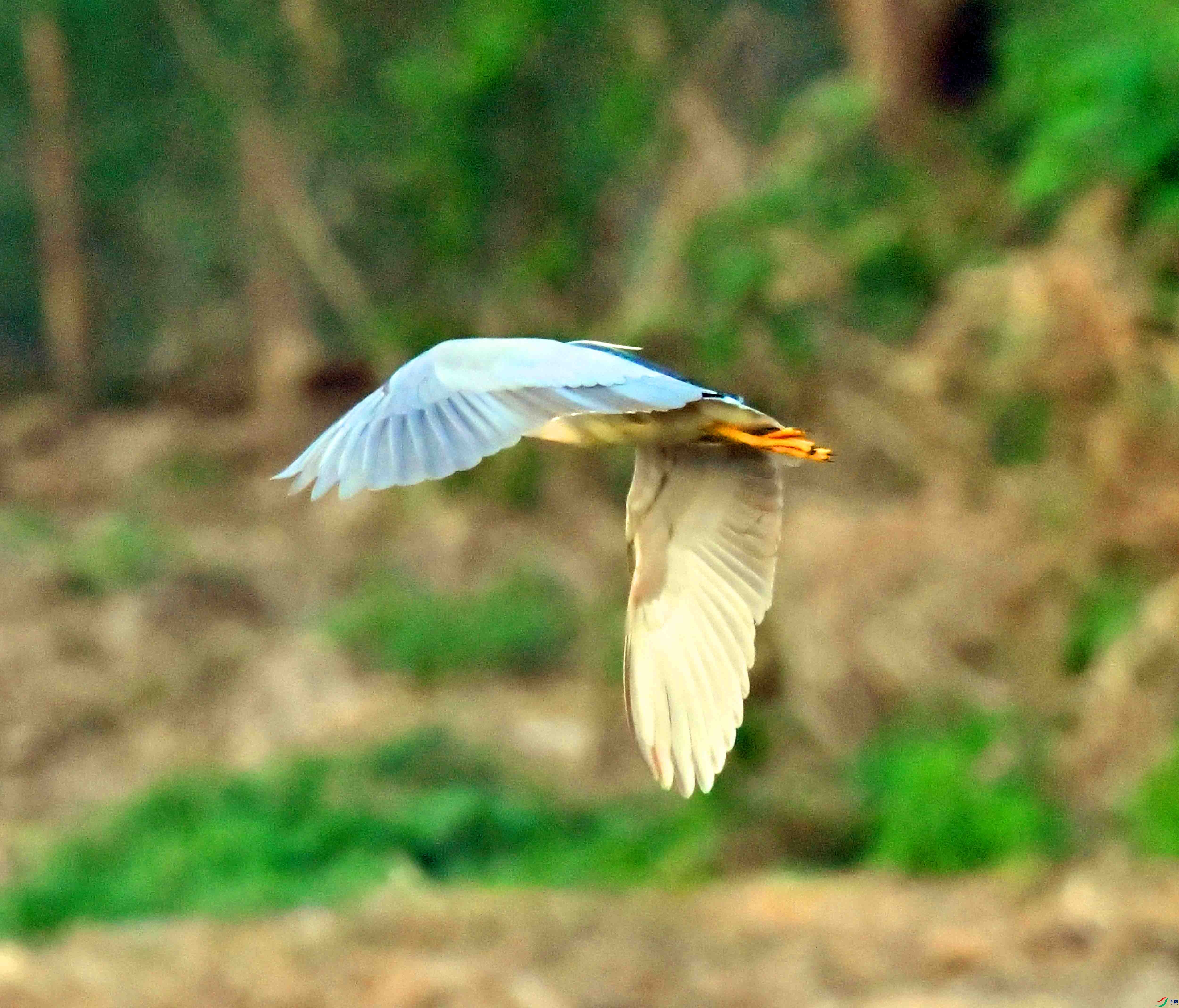 DSC_5534.JPG
