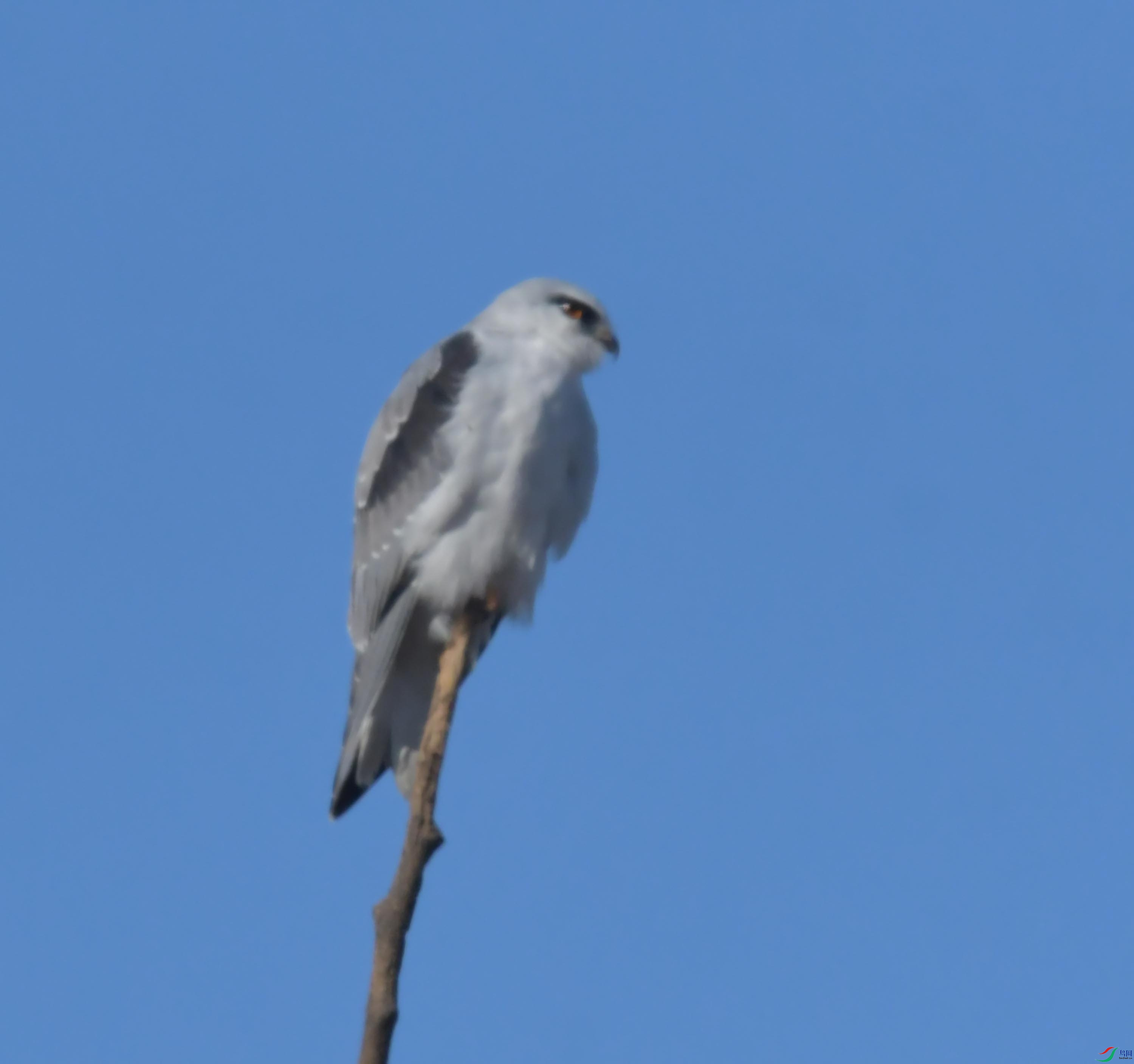 DSC_4375.JPG