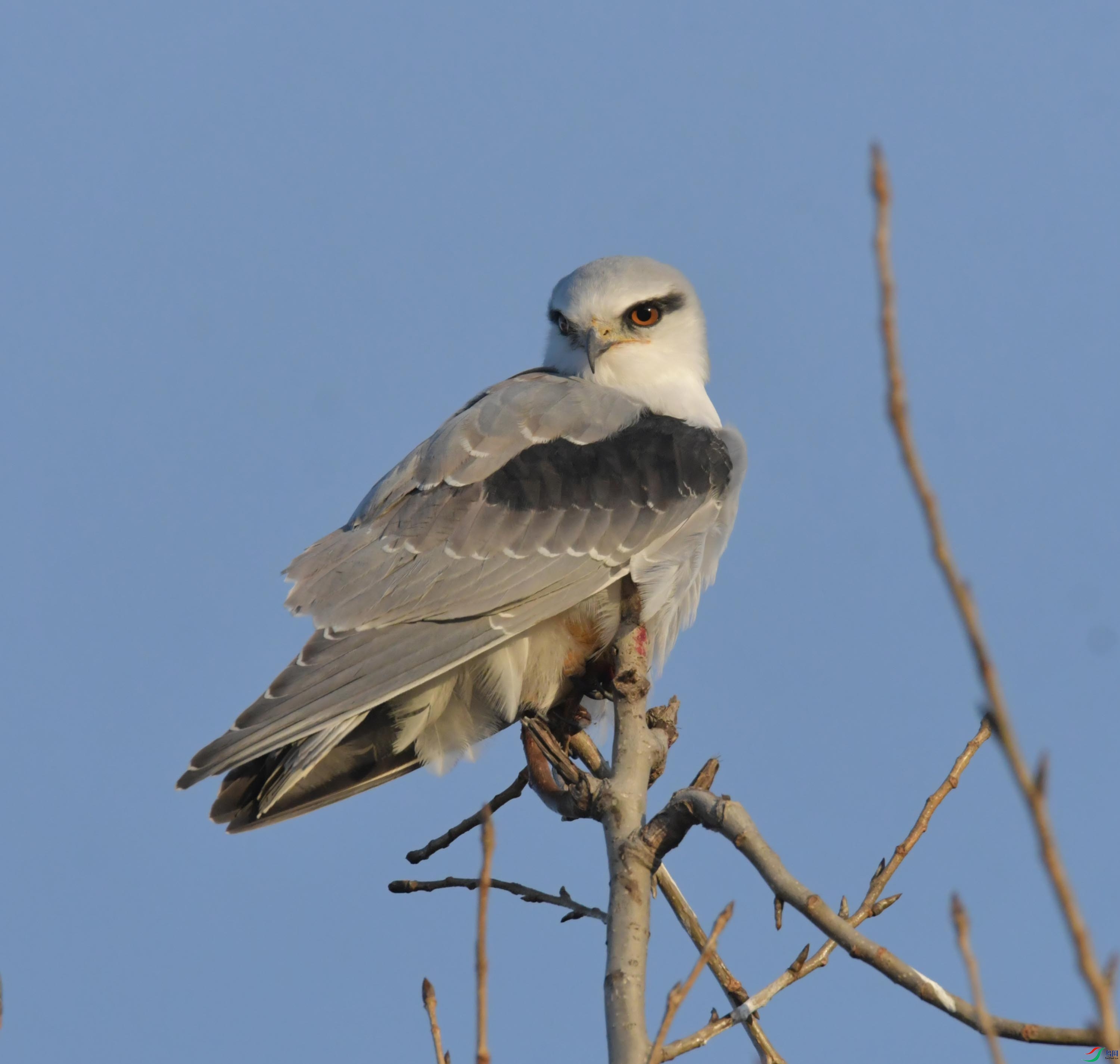 DSC_3982.JPG