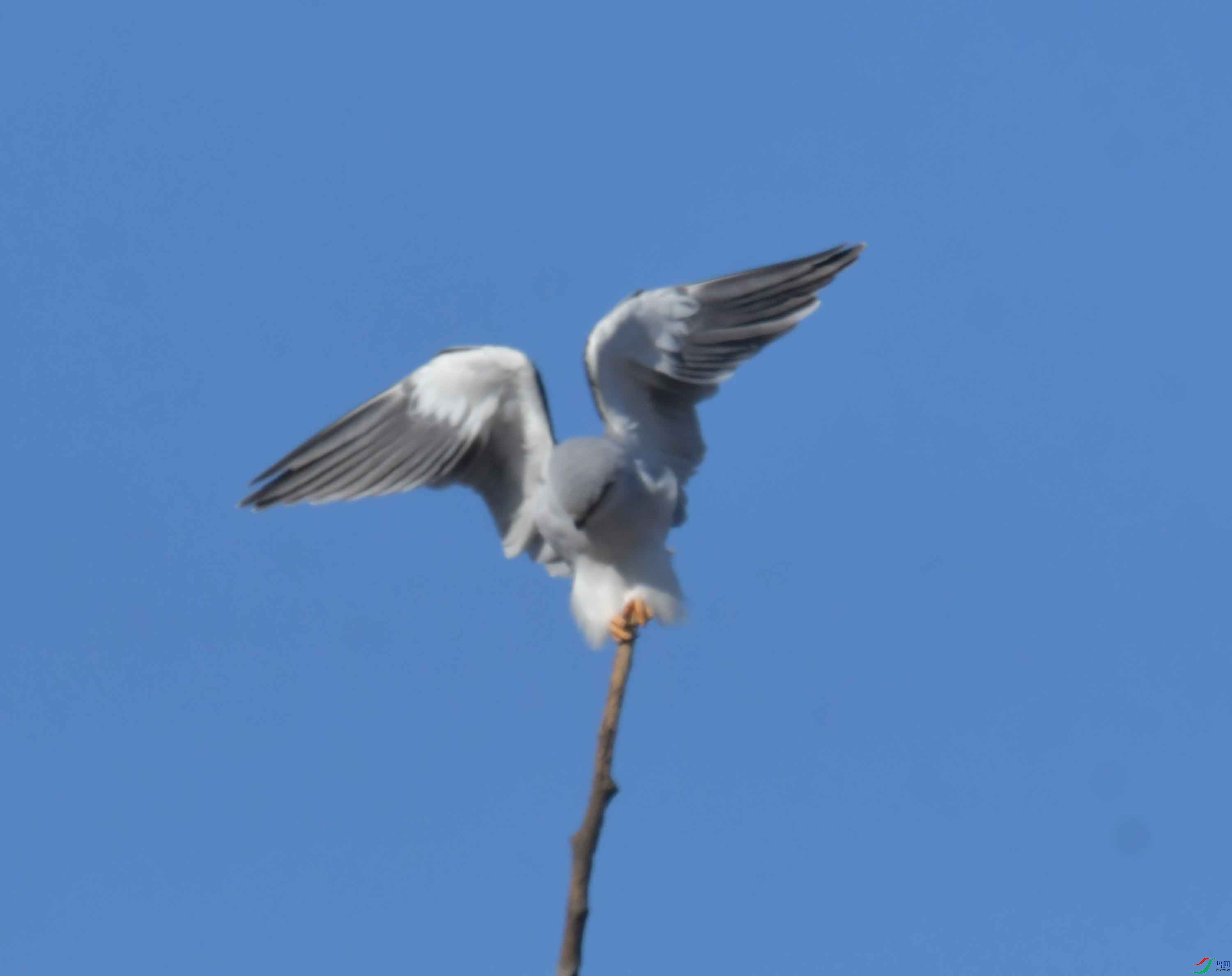 DSC_4335.JPG