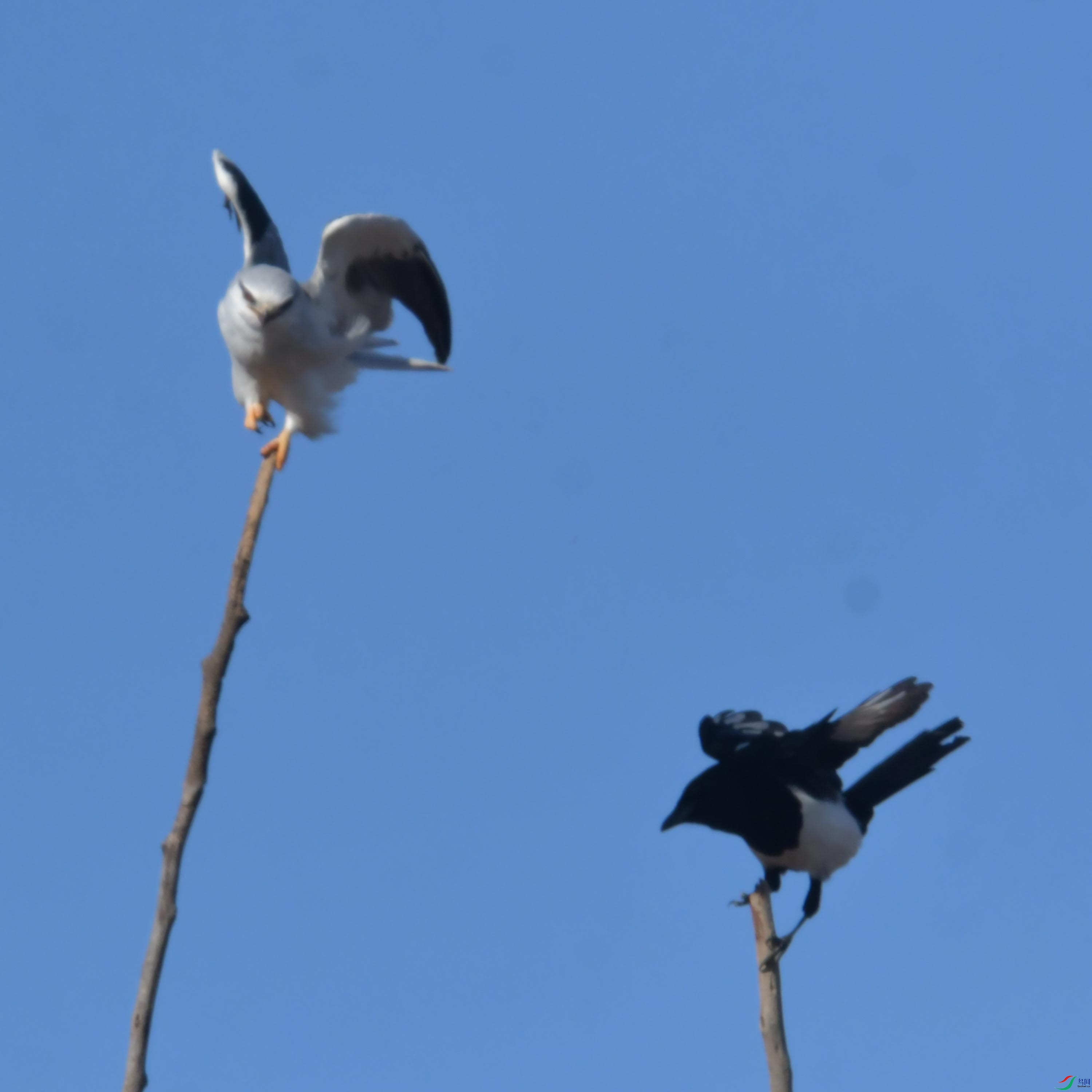 DSC_4415.JPG