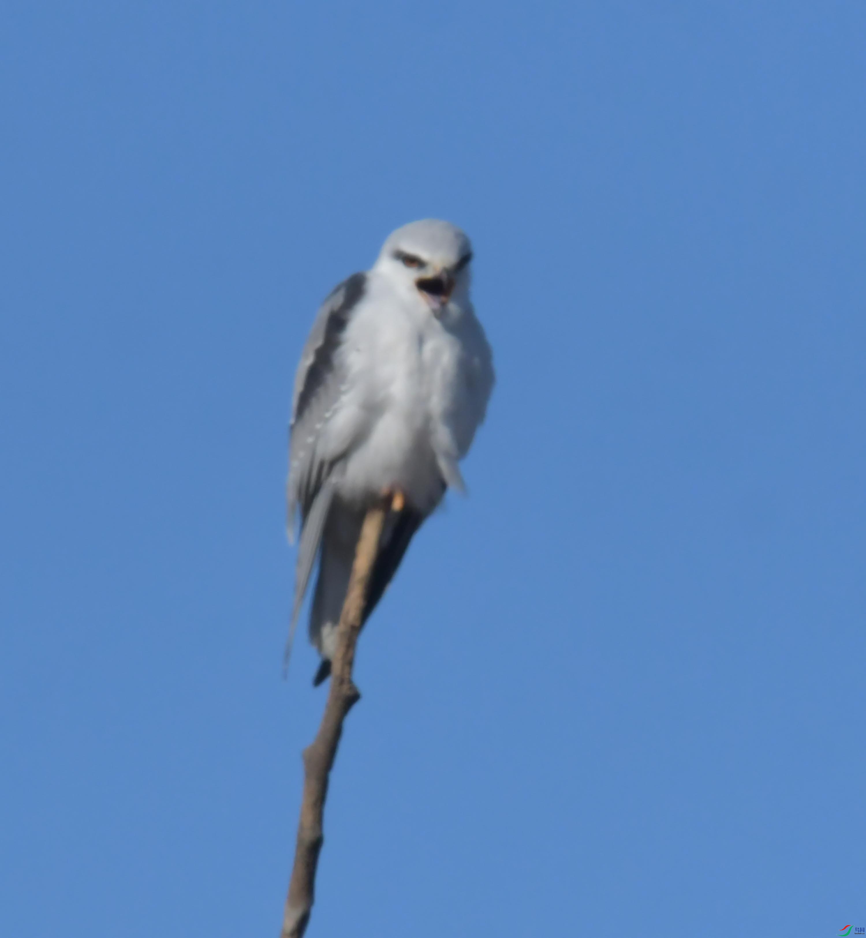 DSC_4381.JPG