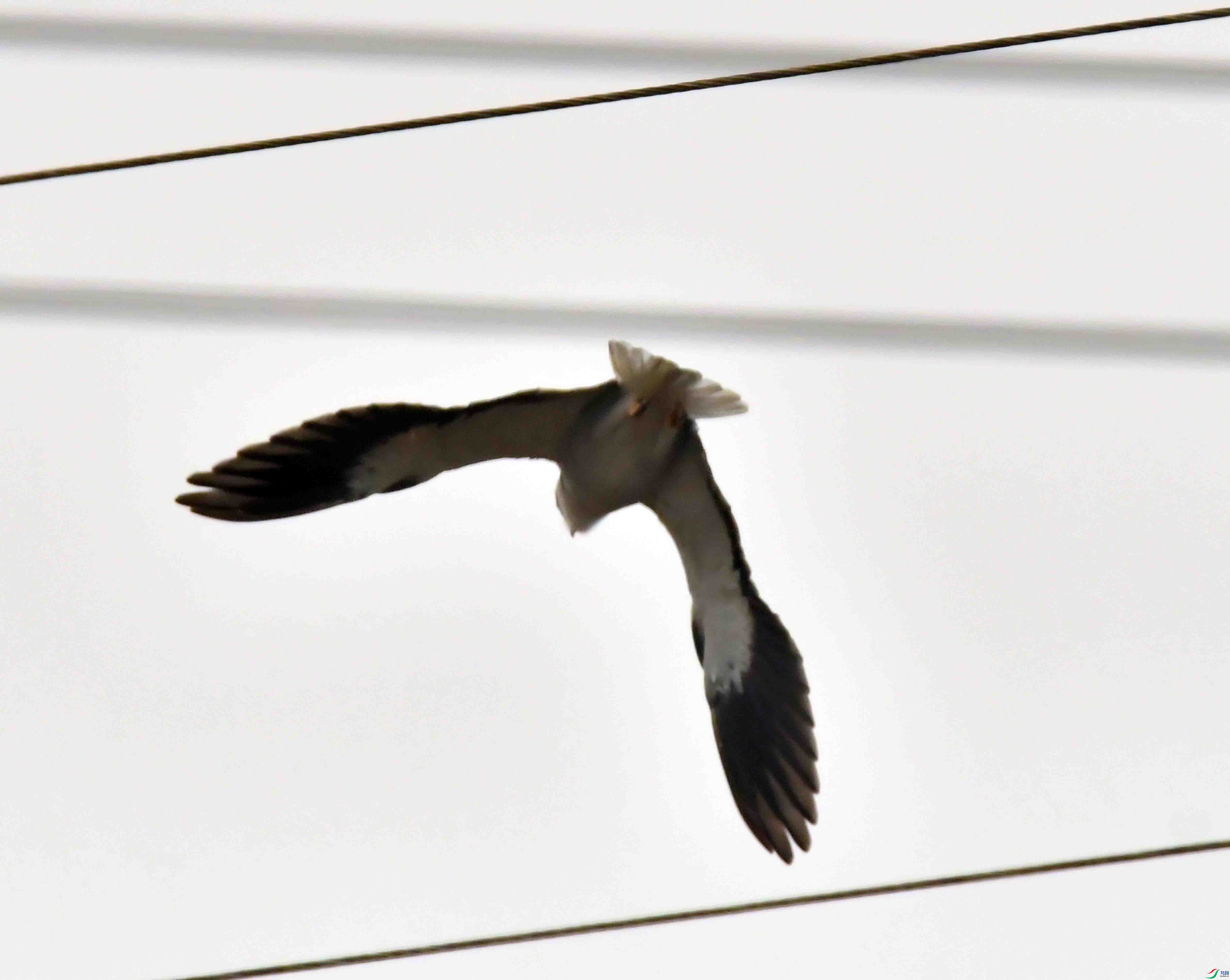 DSC_6739.JPG