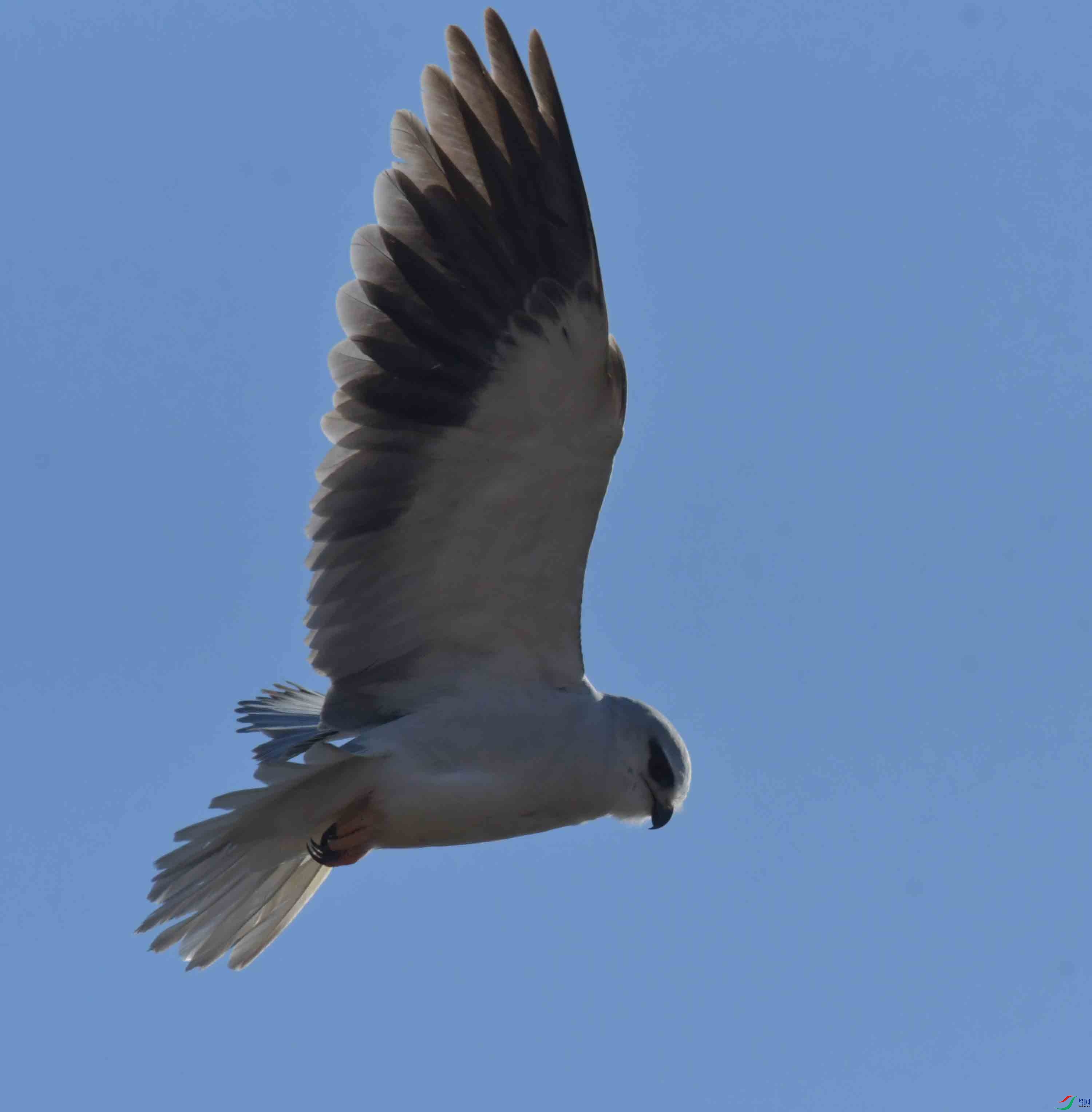 DSC_7607.JPG