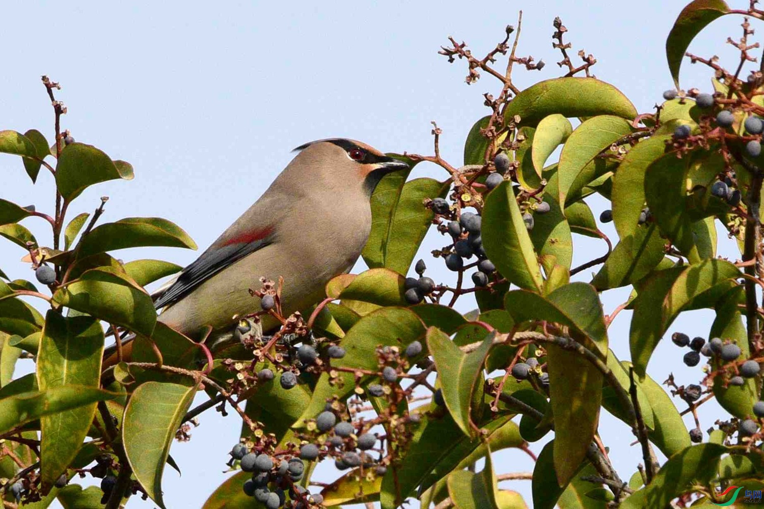 DSC_7329.JPG