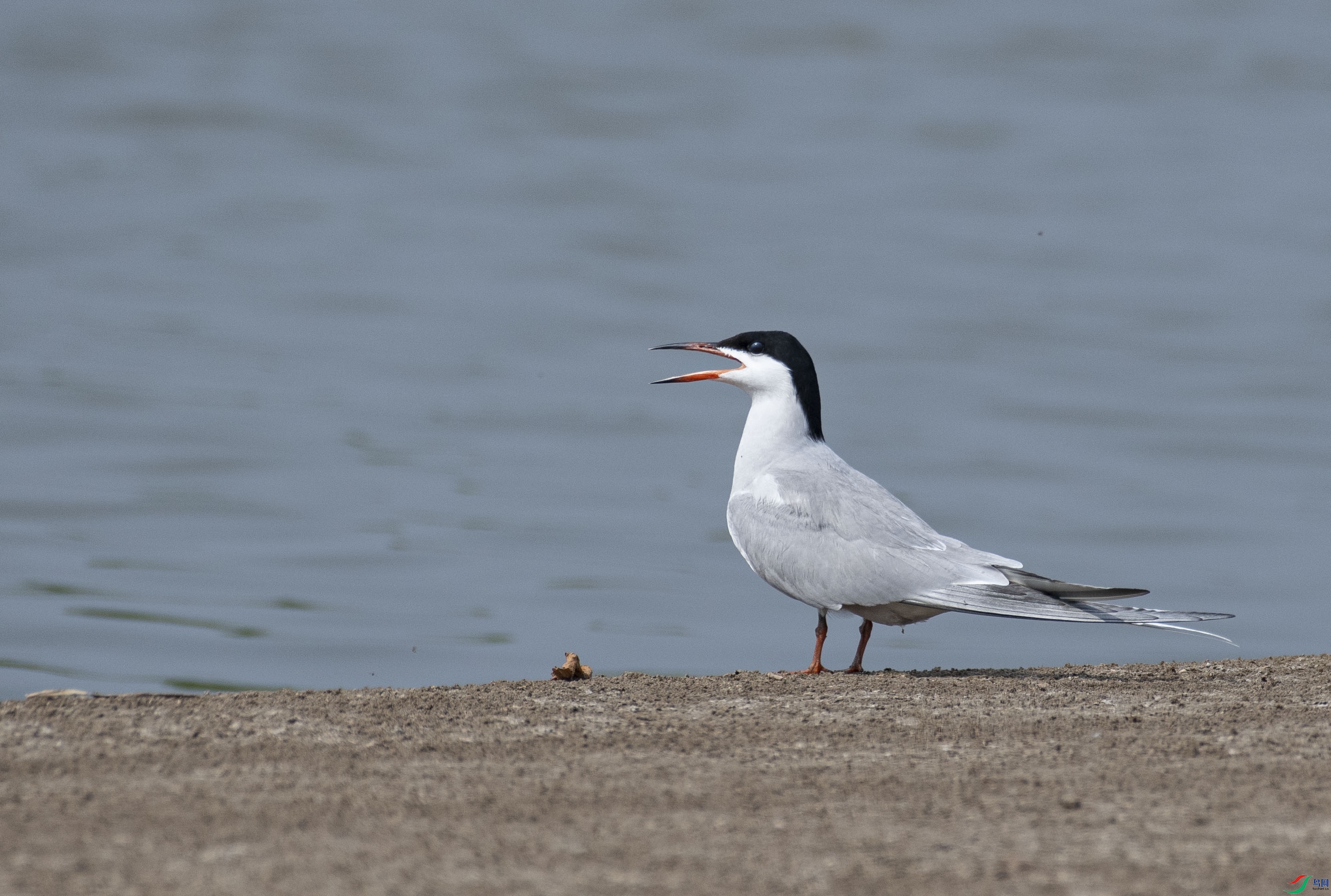 DSC_5456.jpg